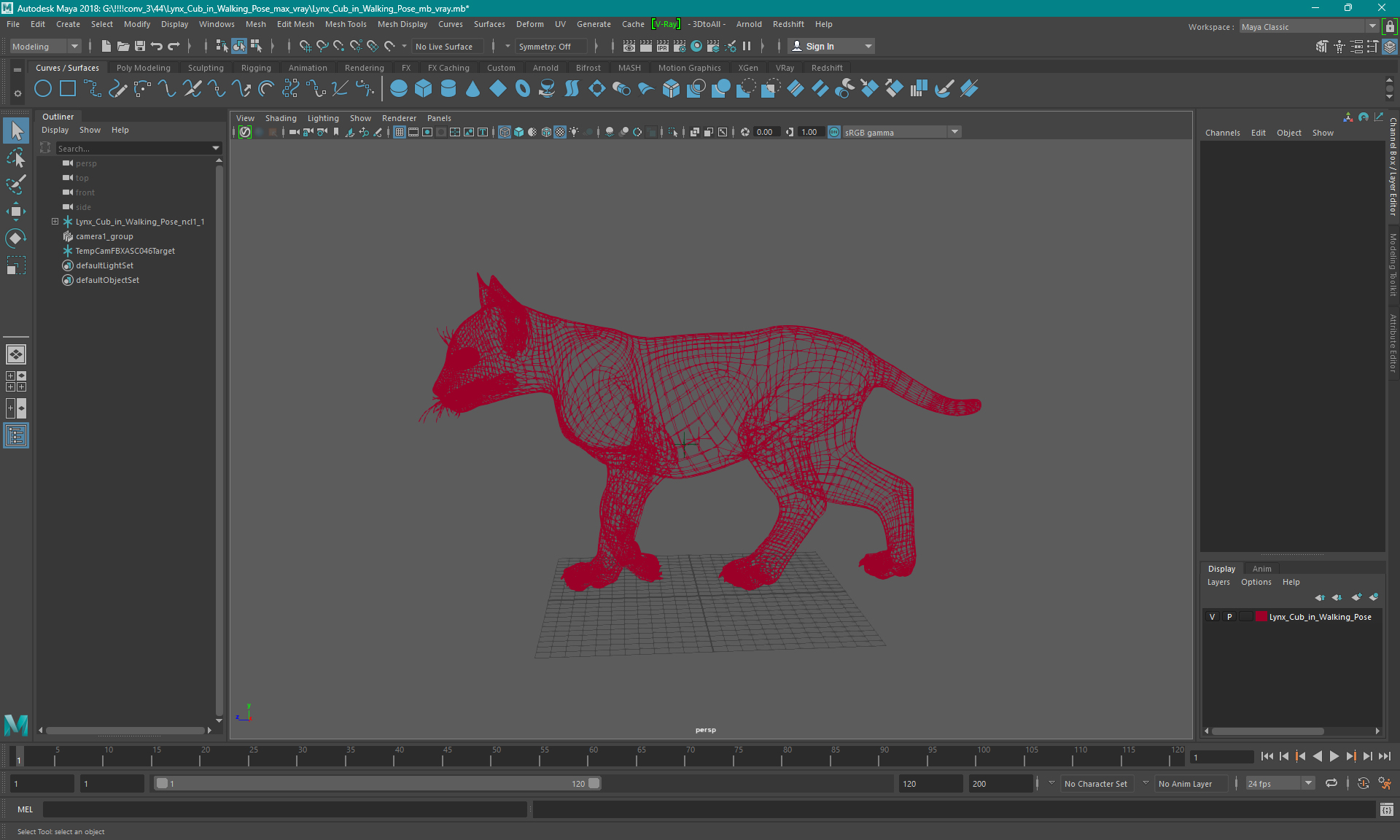 Lynx Cub in Walking Pose 3D model
