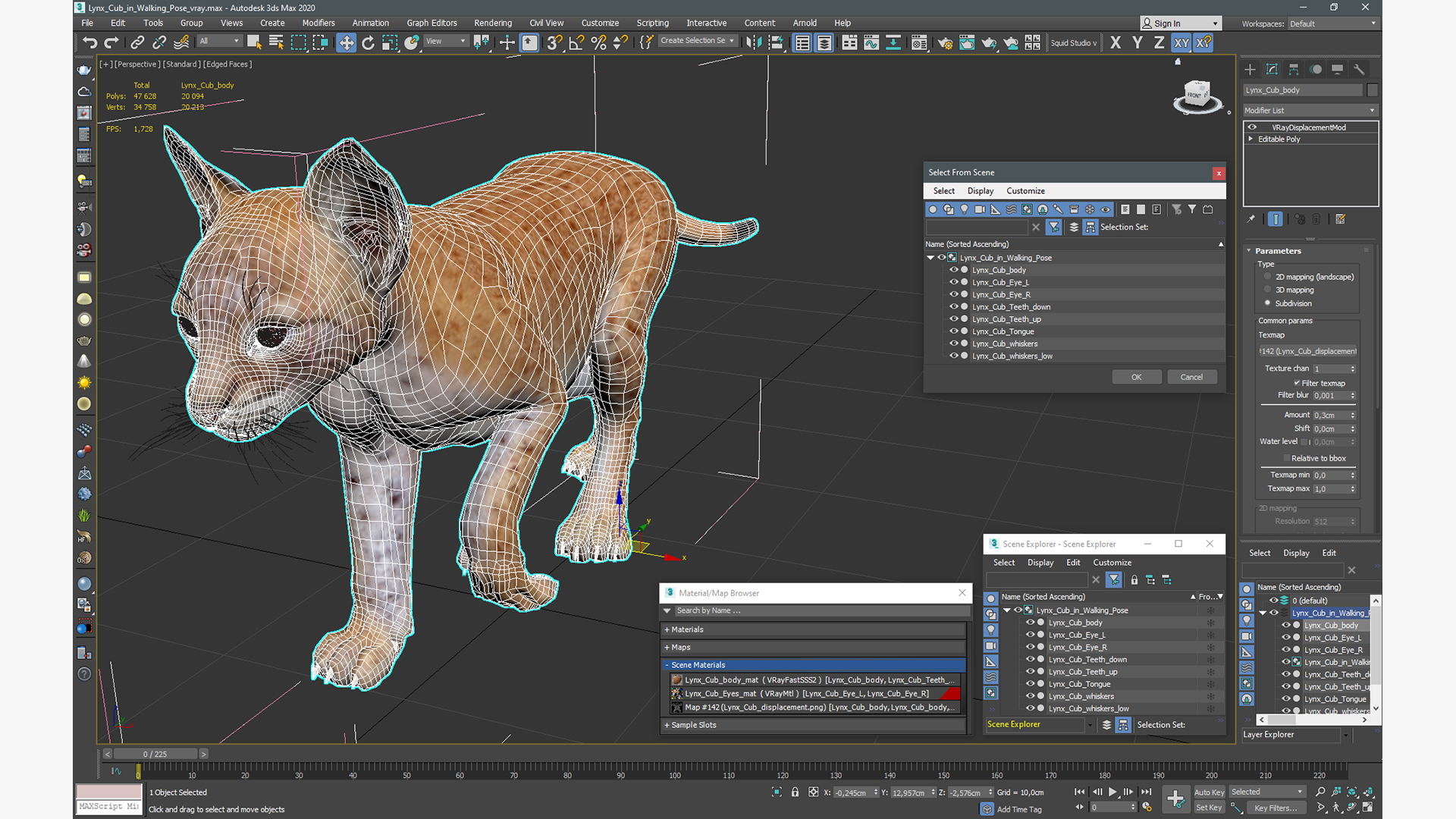 Lynx Cub in Walking Pose 3D model