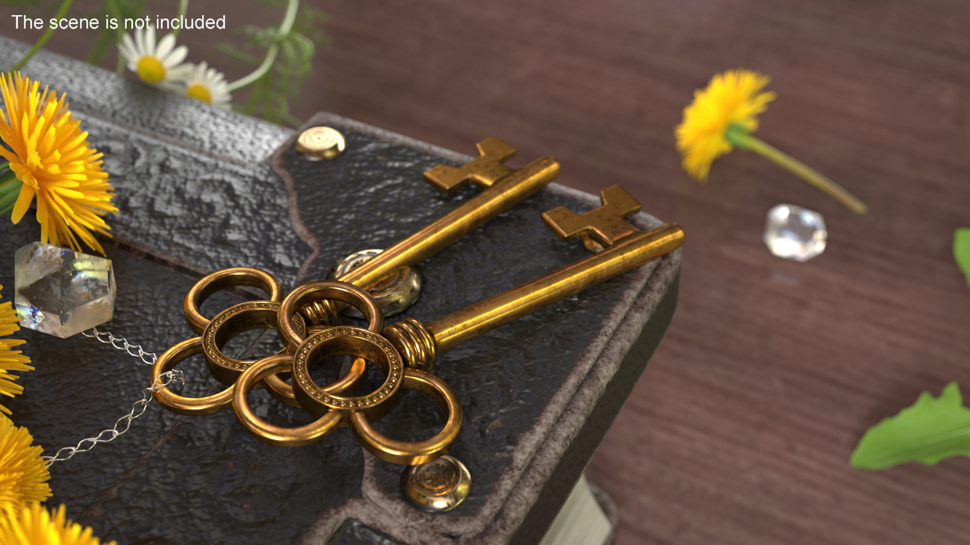 Traditional Skeleton Key Gold 3D model