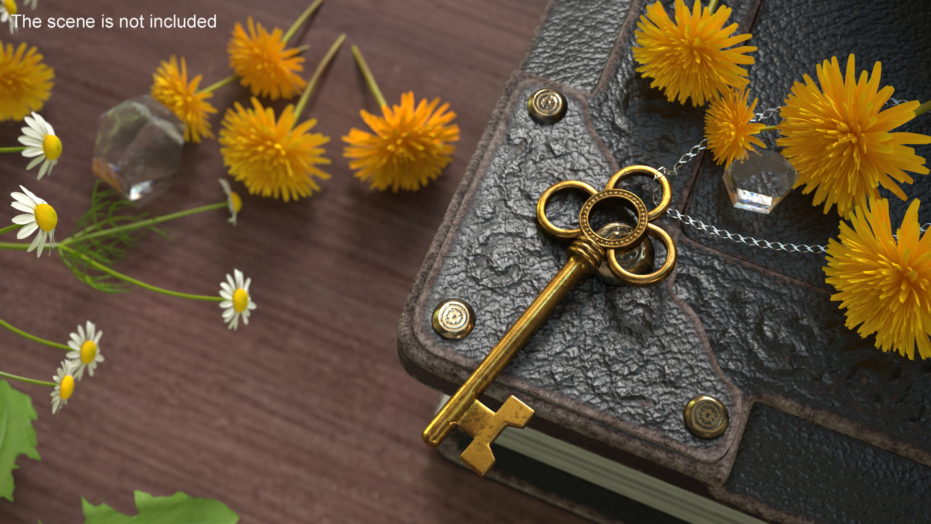 Traditional Skeleton Key Gold 3D model