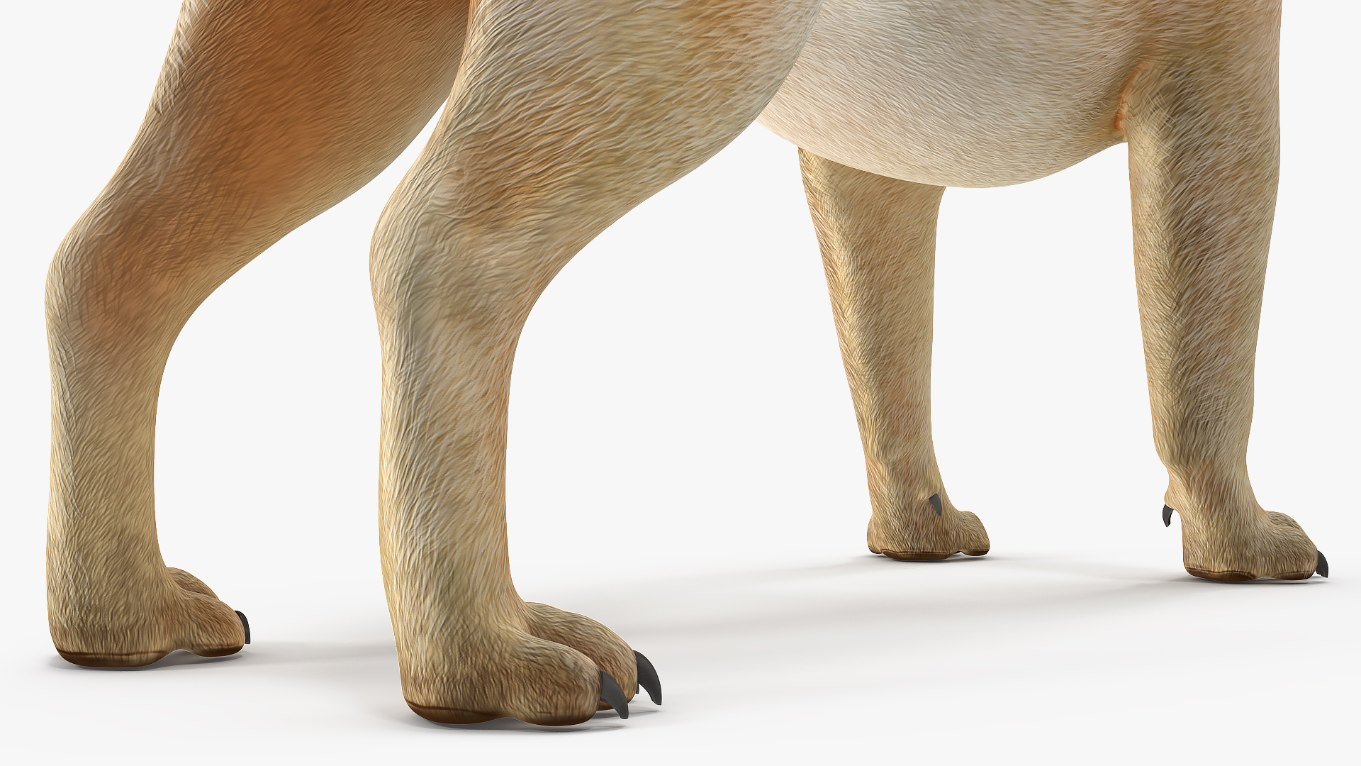 3D model Pug Dog Neutral Pose