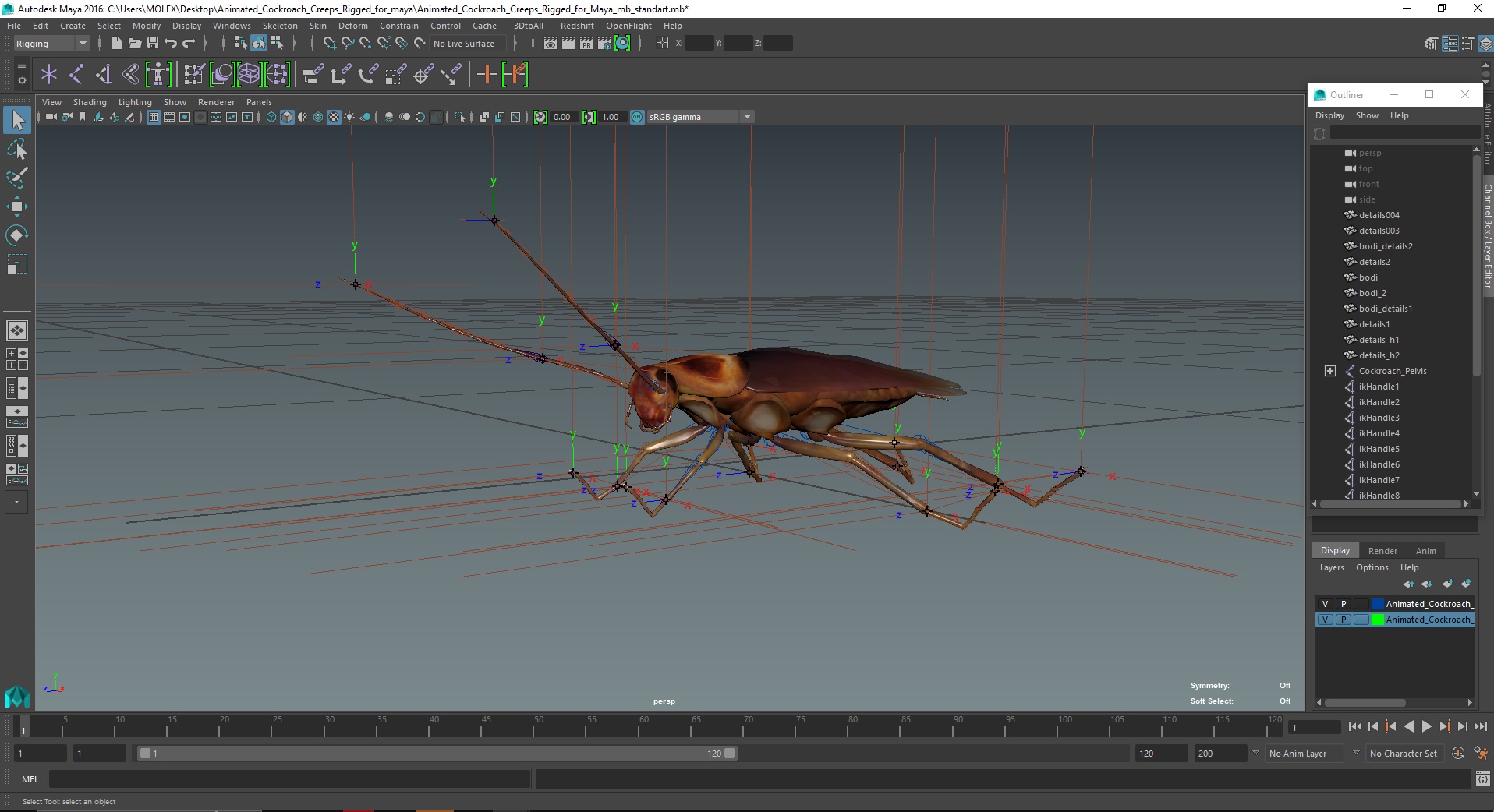 3D Animated Cockroach Creeps Rigged for Maya