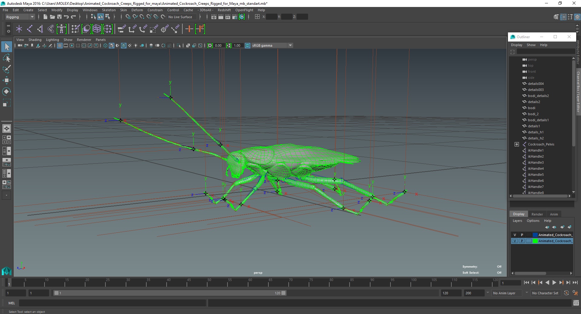 3D Animated Cockroach Creeps Rigged for Maya