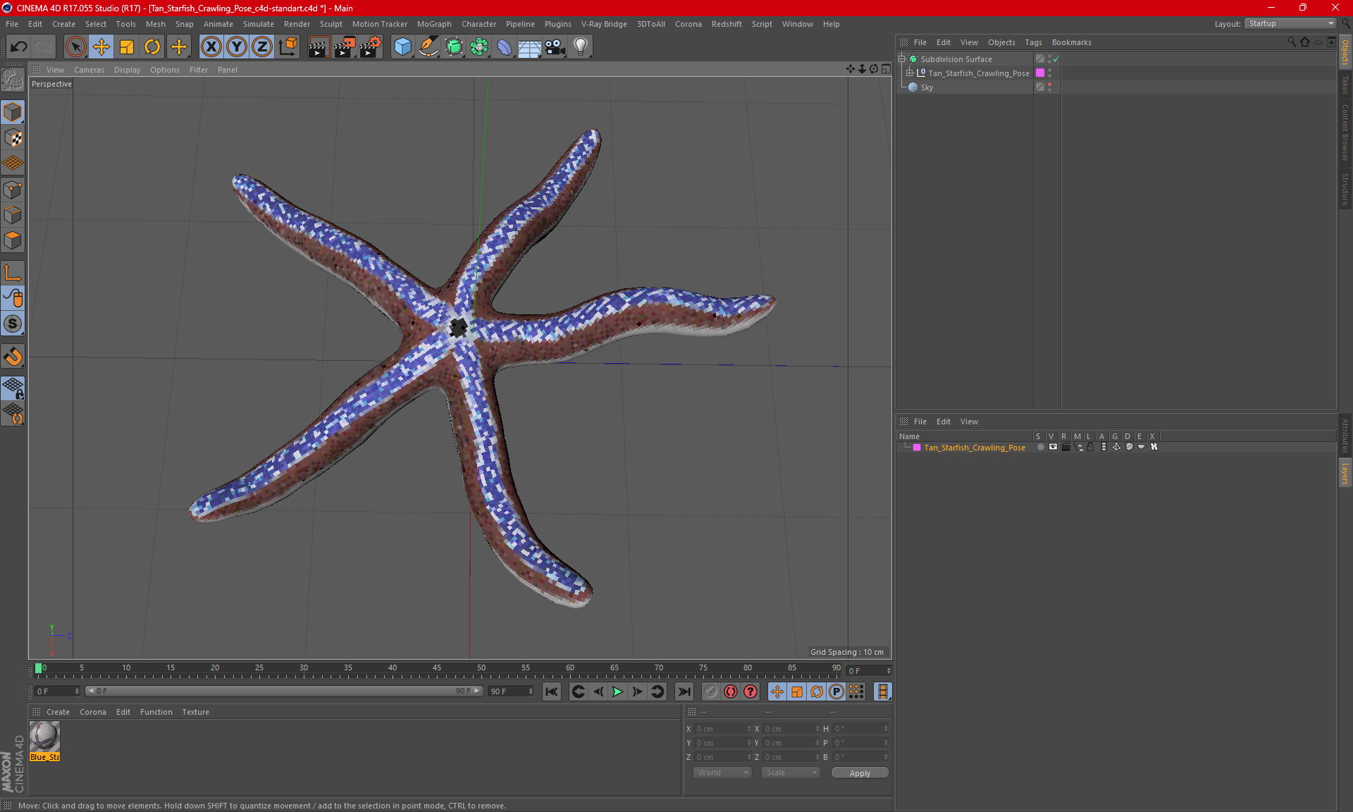 3D Tan Starfish Crawling Pose