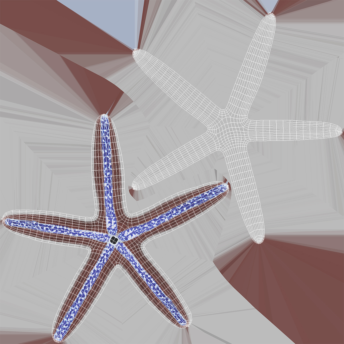 3D Tan Starfish Crawling Pose