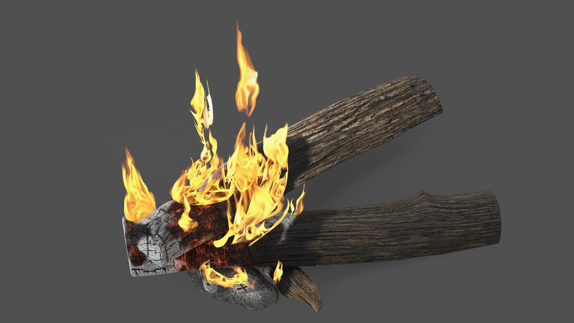 Burning Wooden Logs 3D model