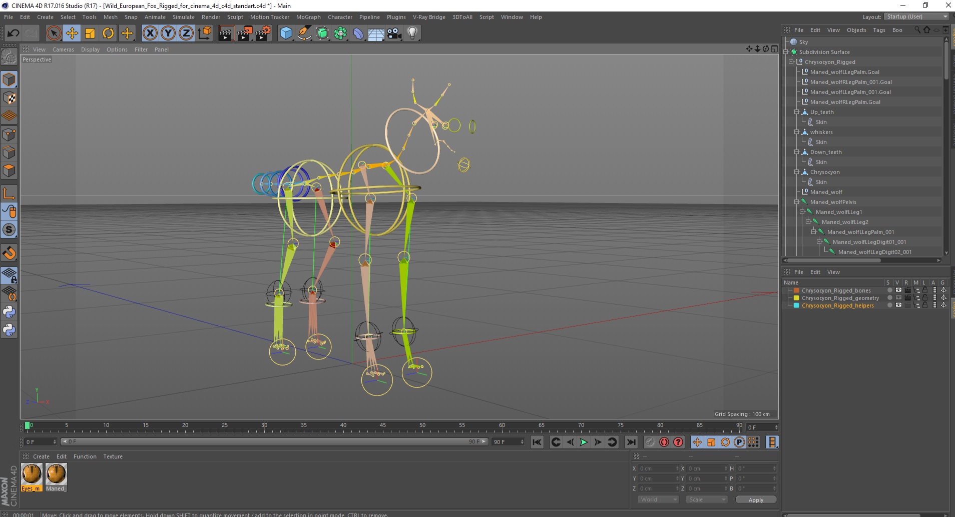 3D Chrysocyon Rigged for Cinema 4D