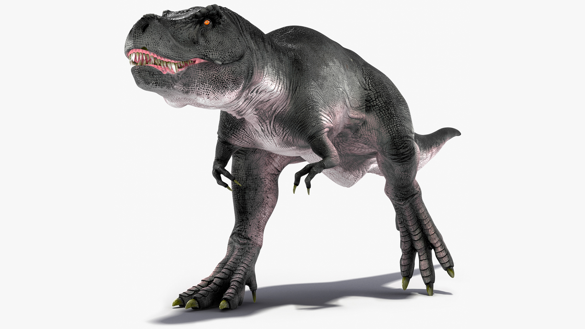 3D model T Rex Walk Pose
