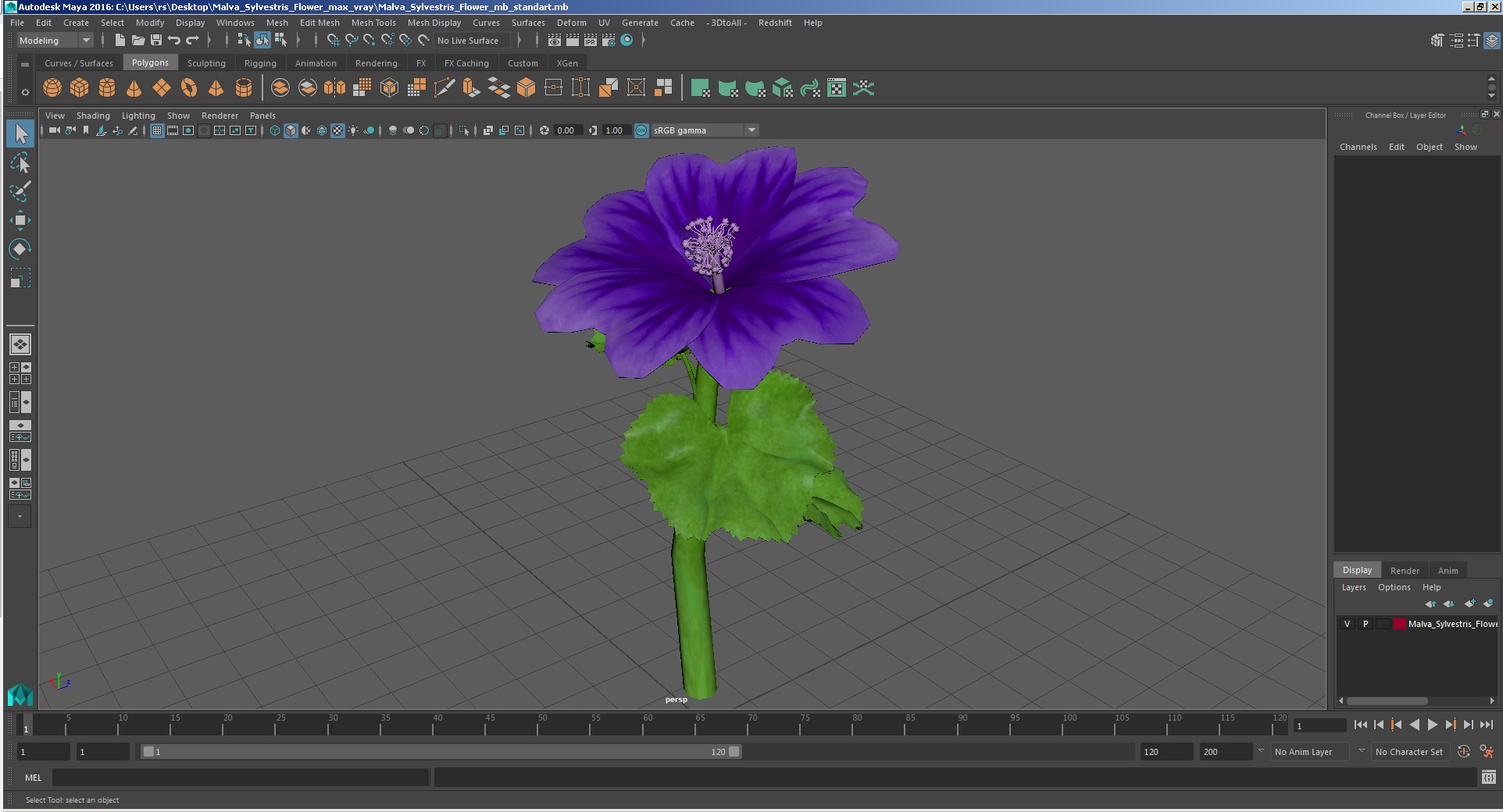 3D Malva Sylvestris Flower model