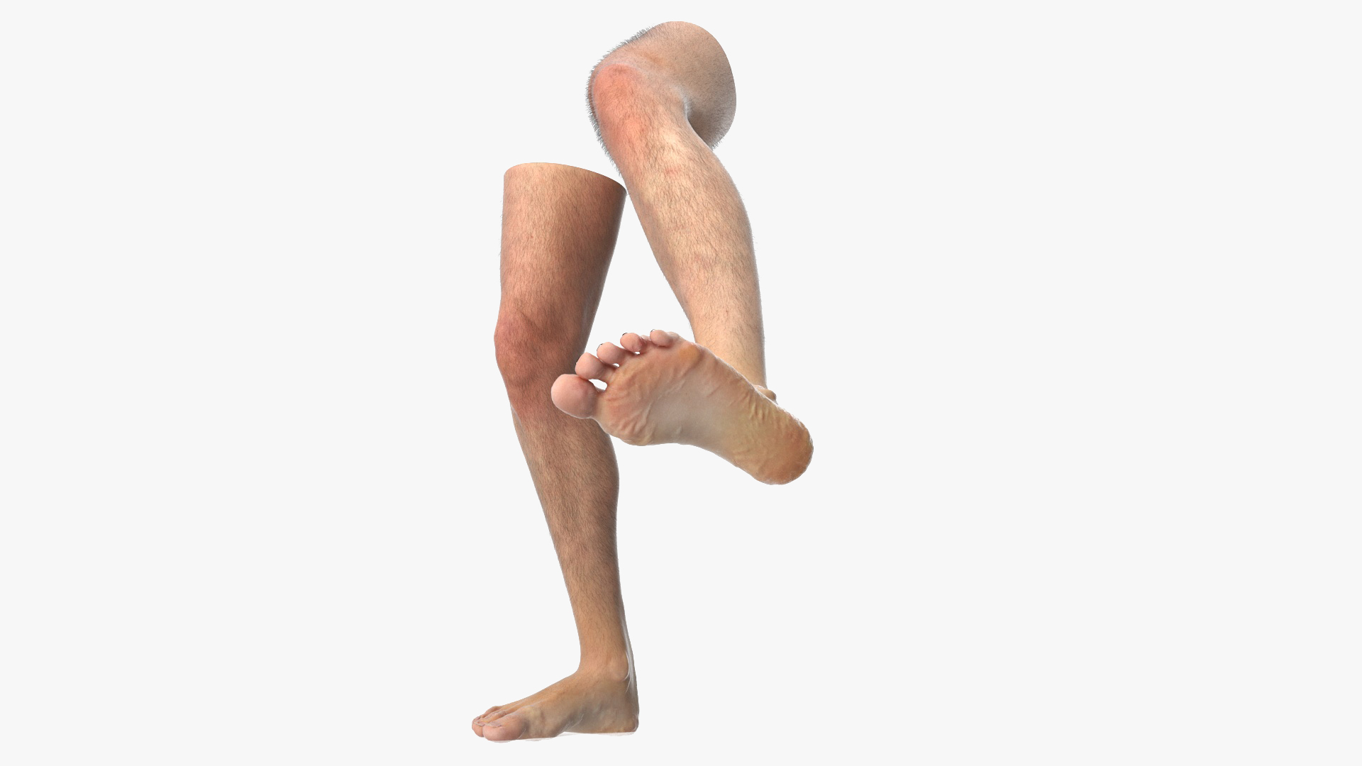 Realistic Human Male Legs Rigged 3D