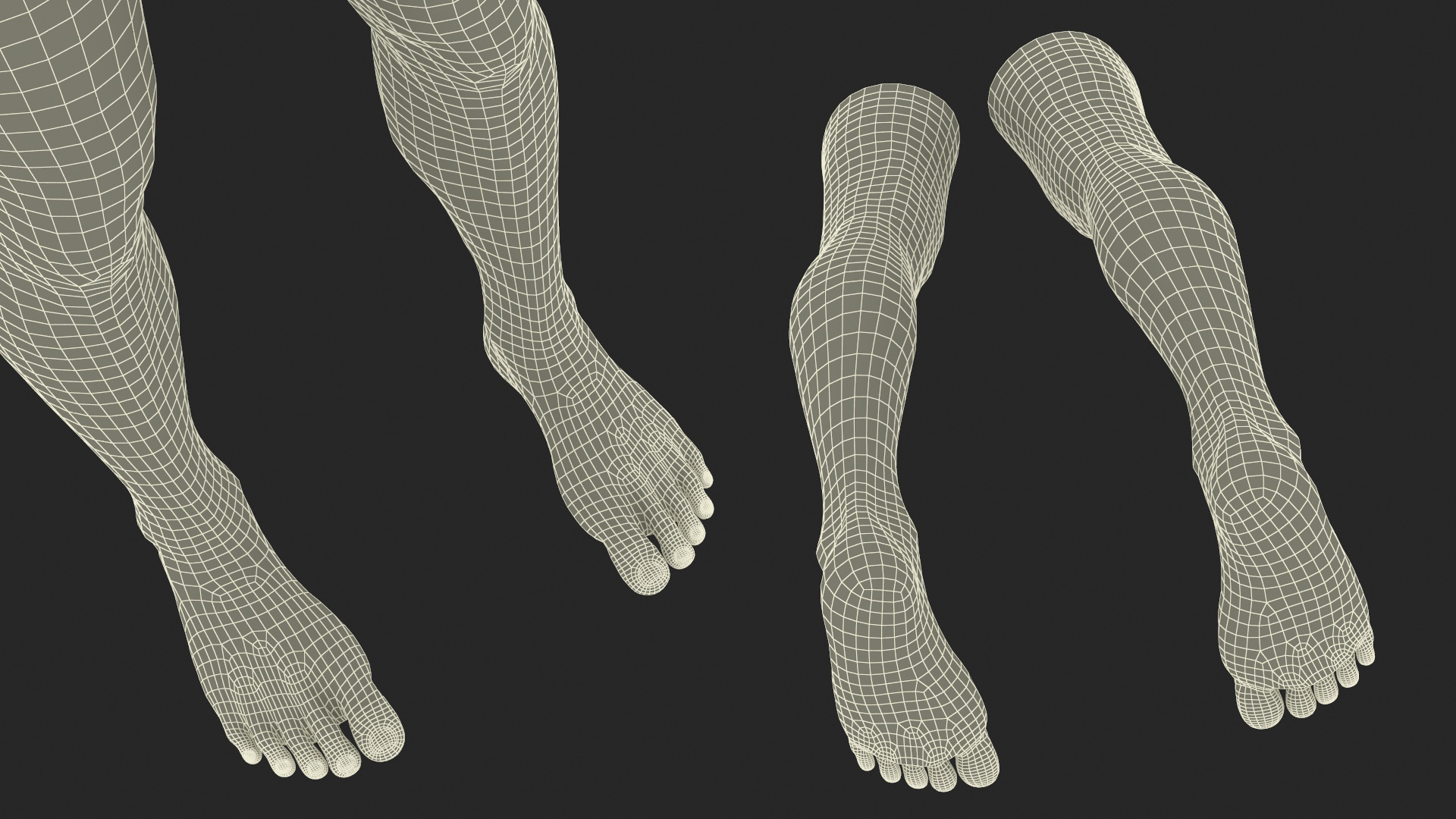 Realistic Human Male Legs Rigged 3D