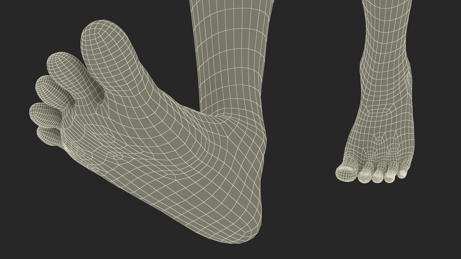 Realistic Human Male Legs Rigged 3D