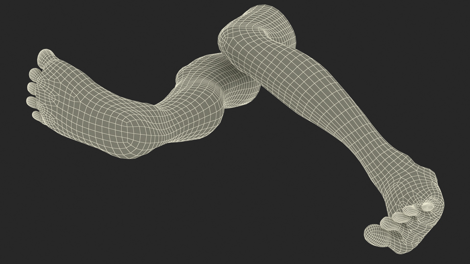 Realistic Human Male Legs Rigged 3D