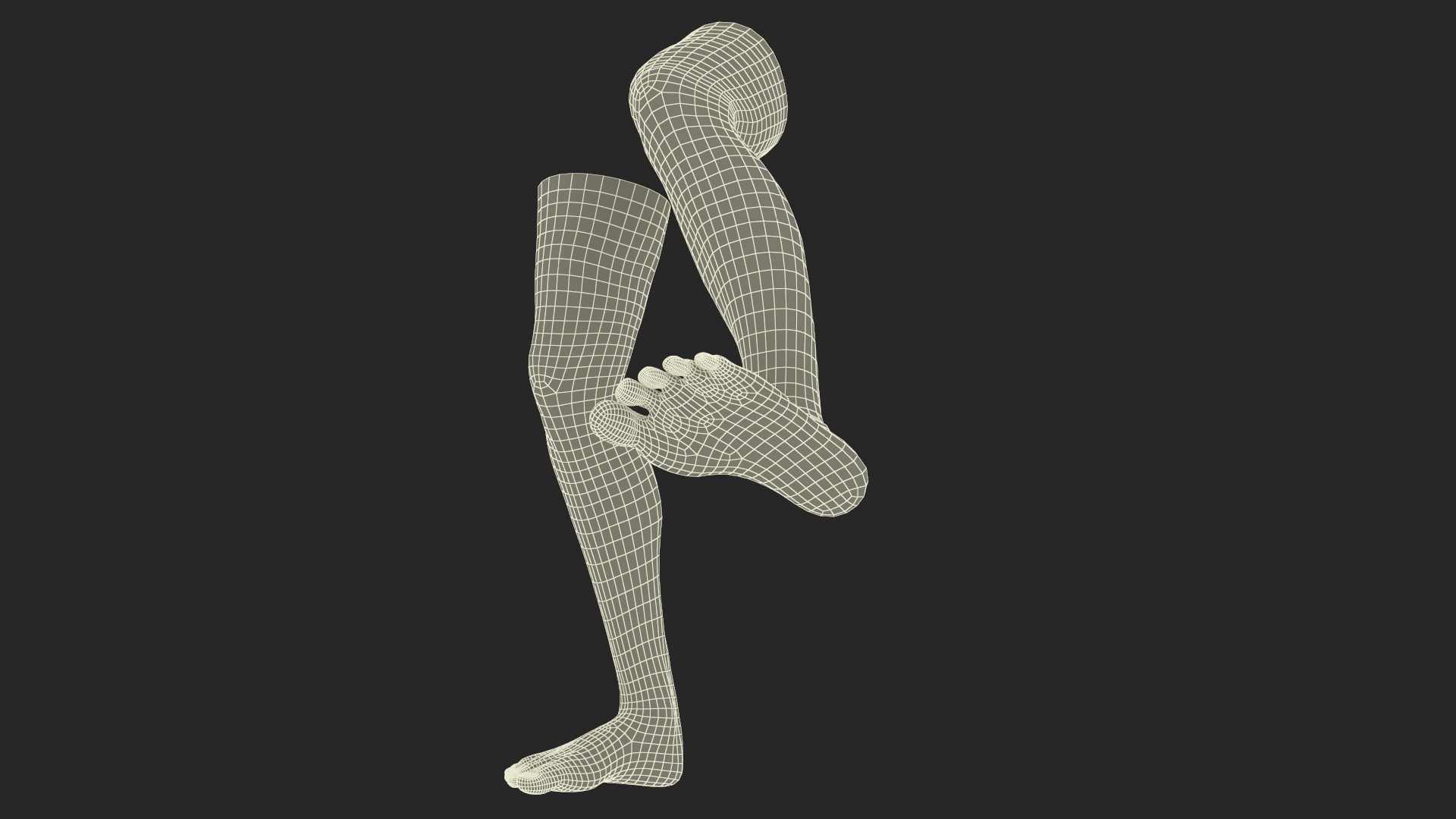 Realistic Human Male Legs Rigged 3D