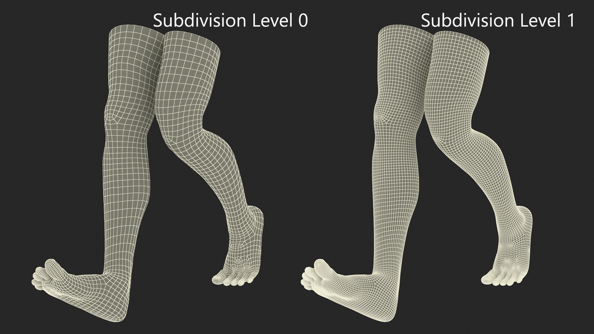 Realistic Human Male Legs Rigged 3D