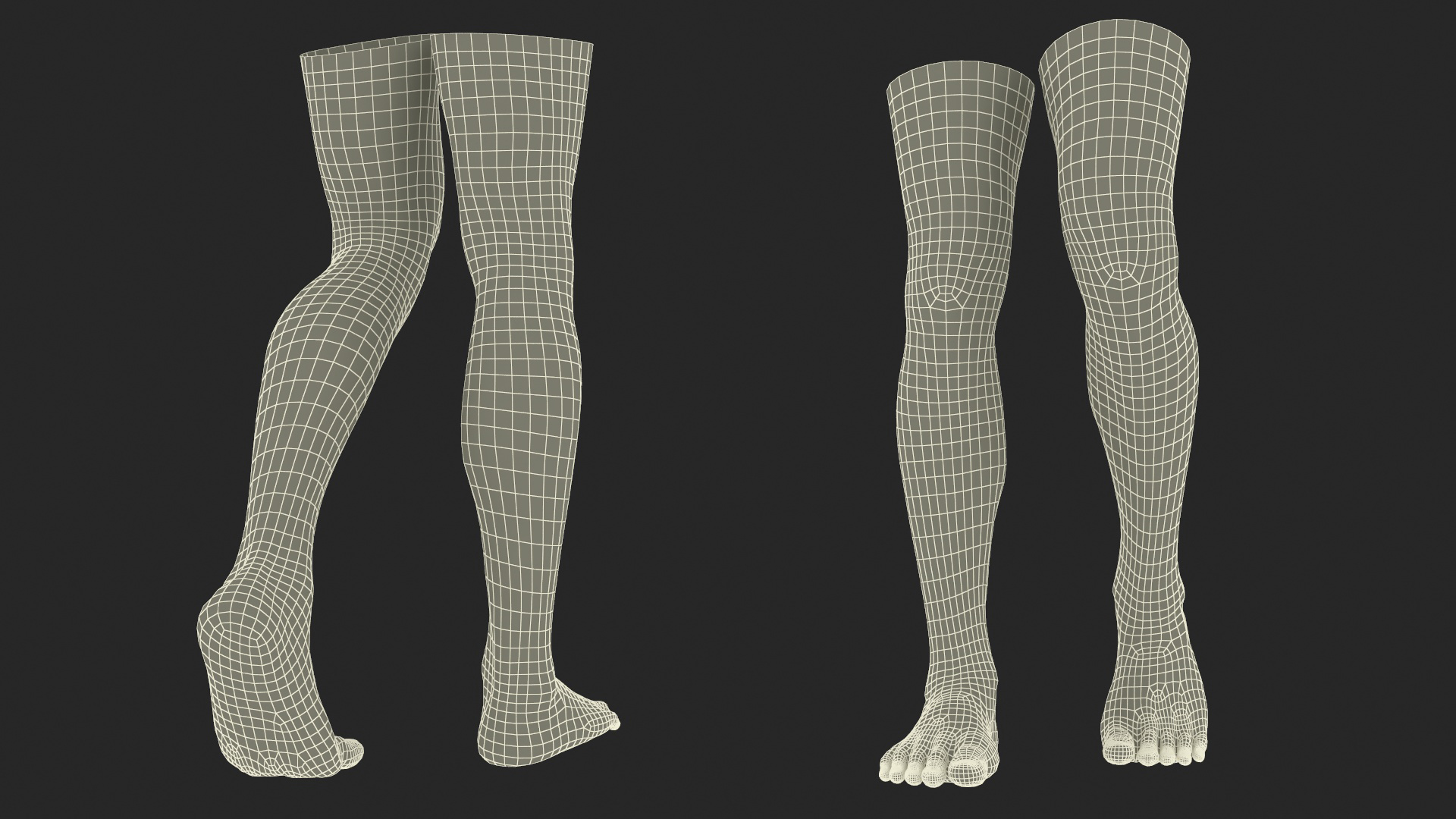 Realistic Human Male Legs Rigged 3D