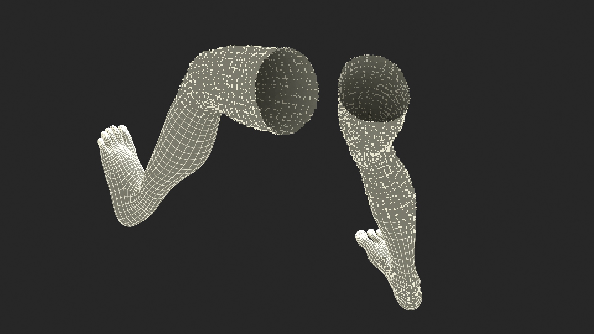 Realistic Human Male Legs Rigged 3D