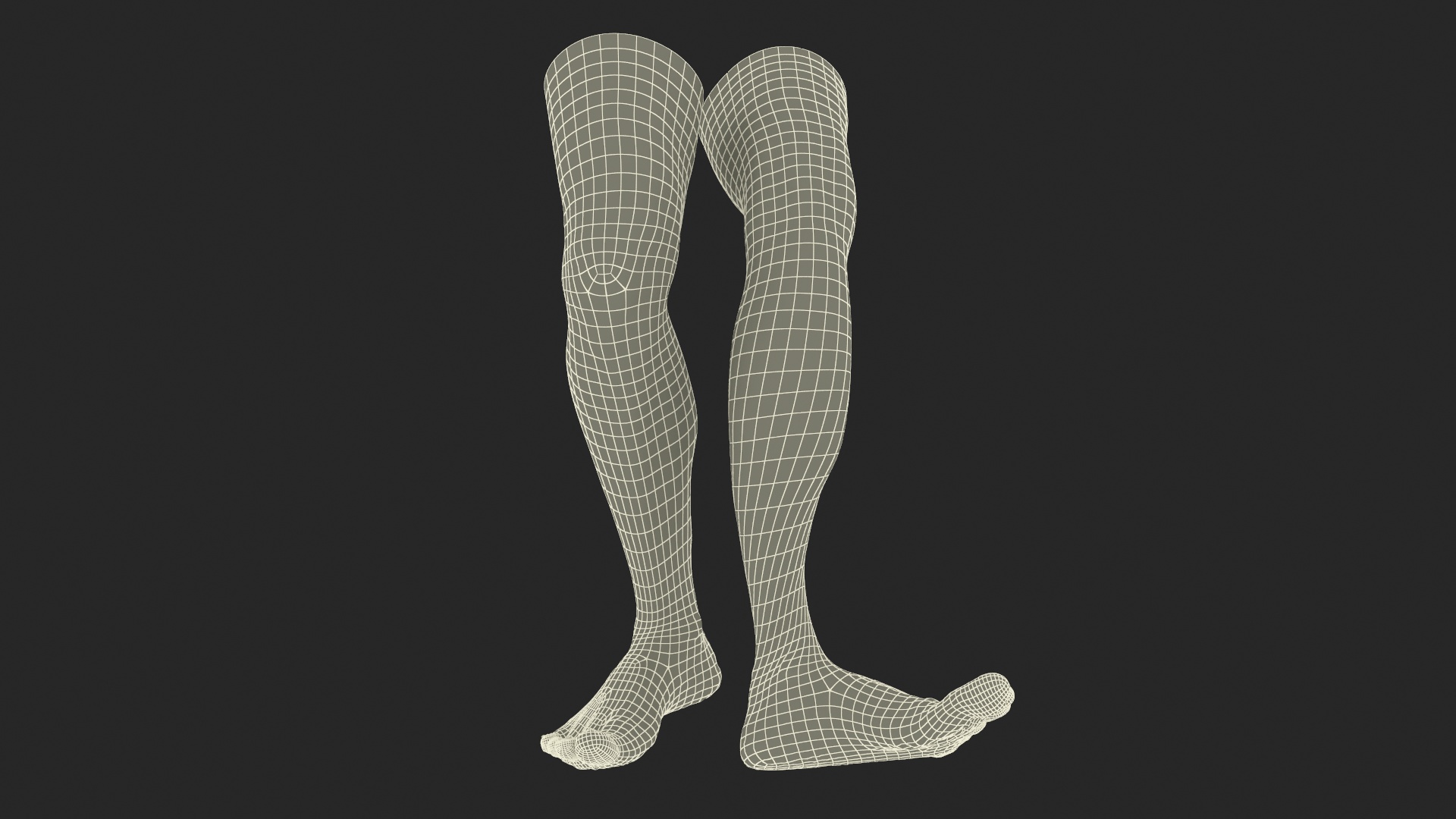 Realistic Human Male Legs Rigged 3D