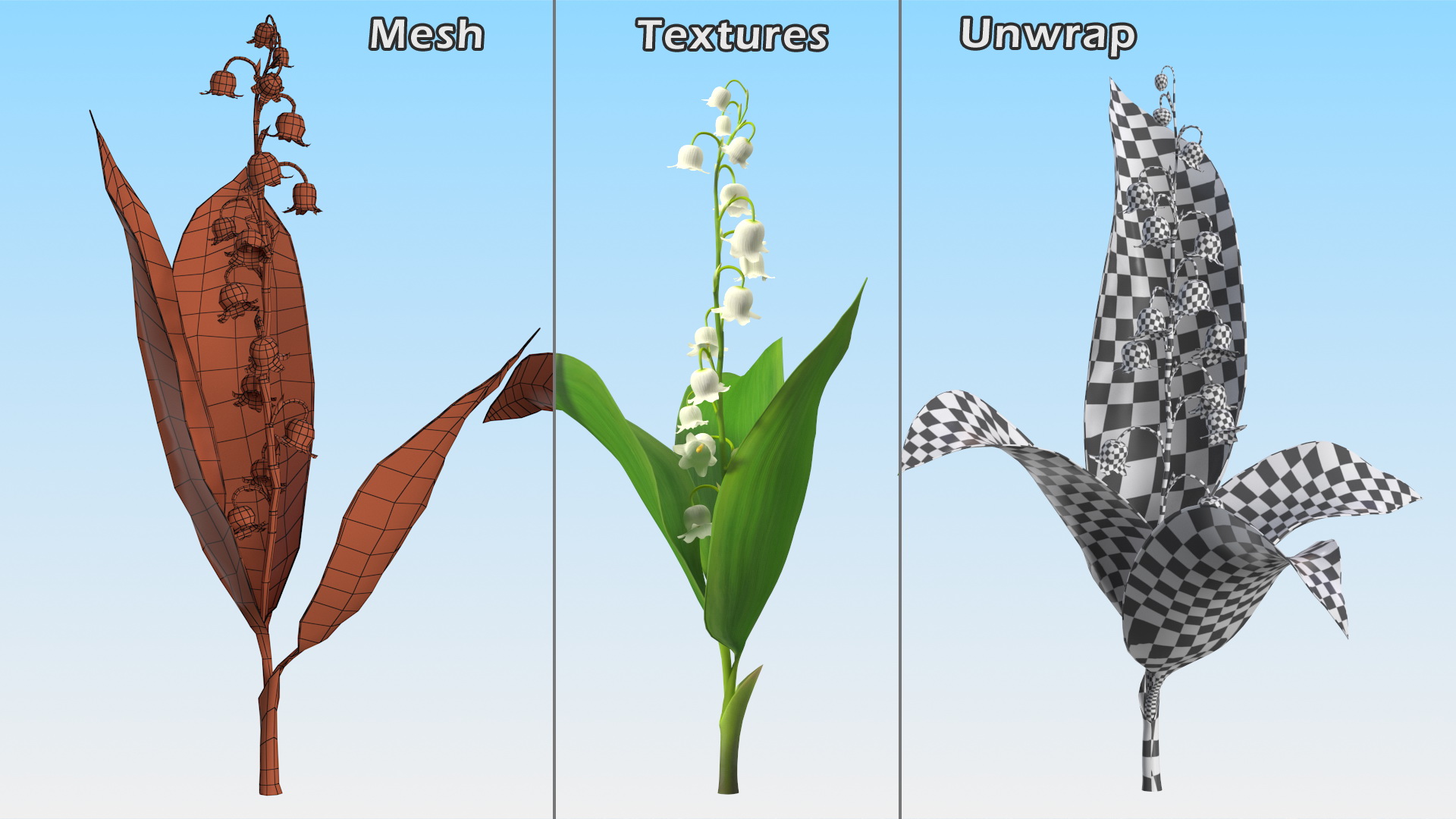 Lily of the Valley 3 Branches 3D model