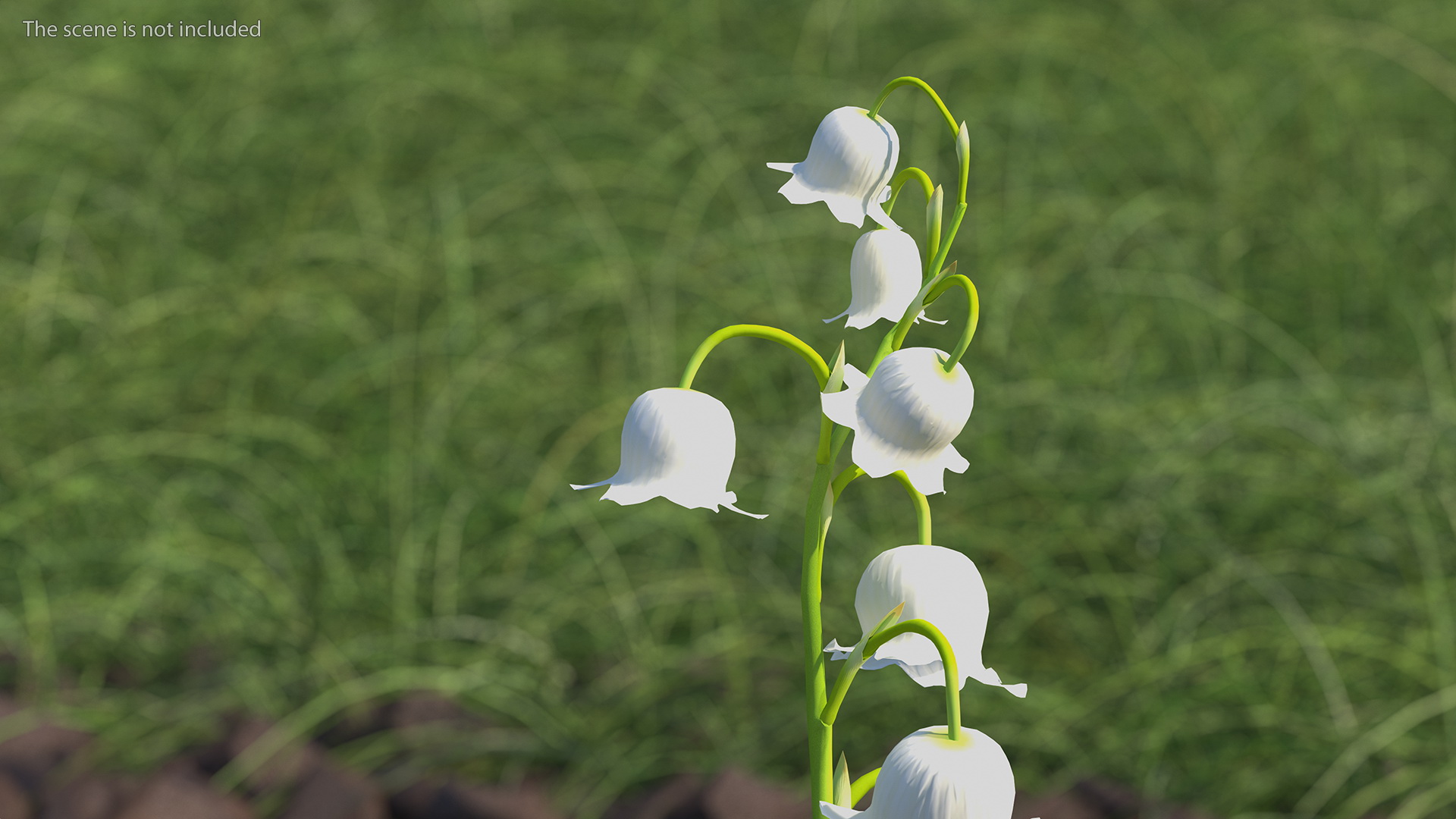 Lily of the Valley 3 Branches 3D model