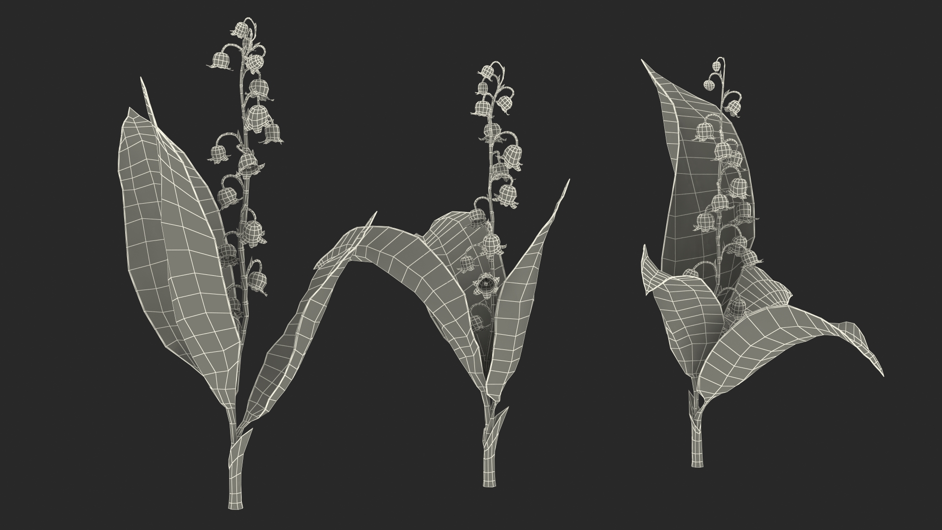 Lily of the Valley 3 Branches 3D model