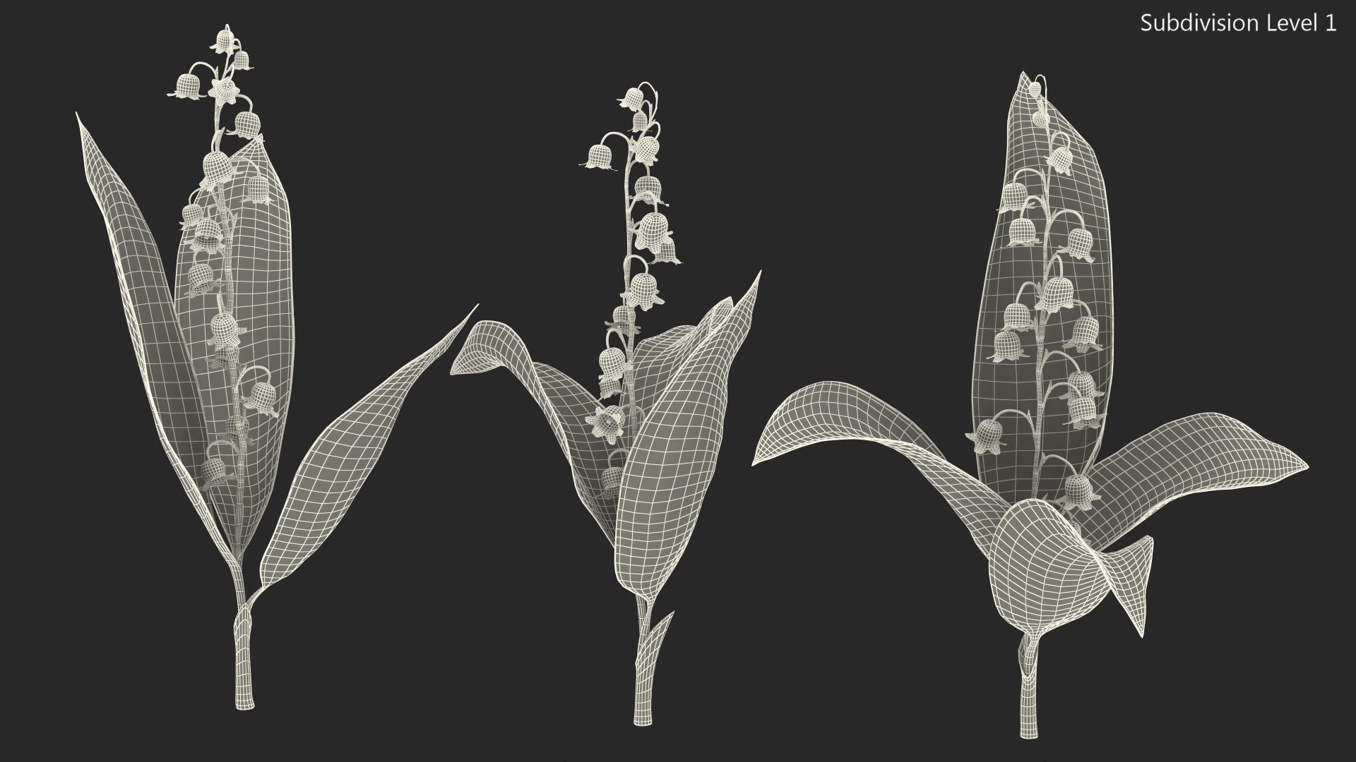 Lily of the Valley 3 Branches 3D model