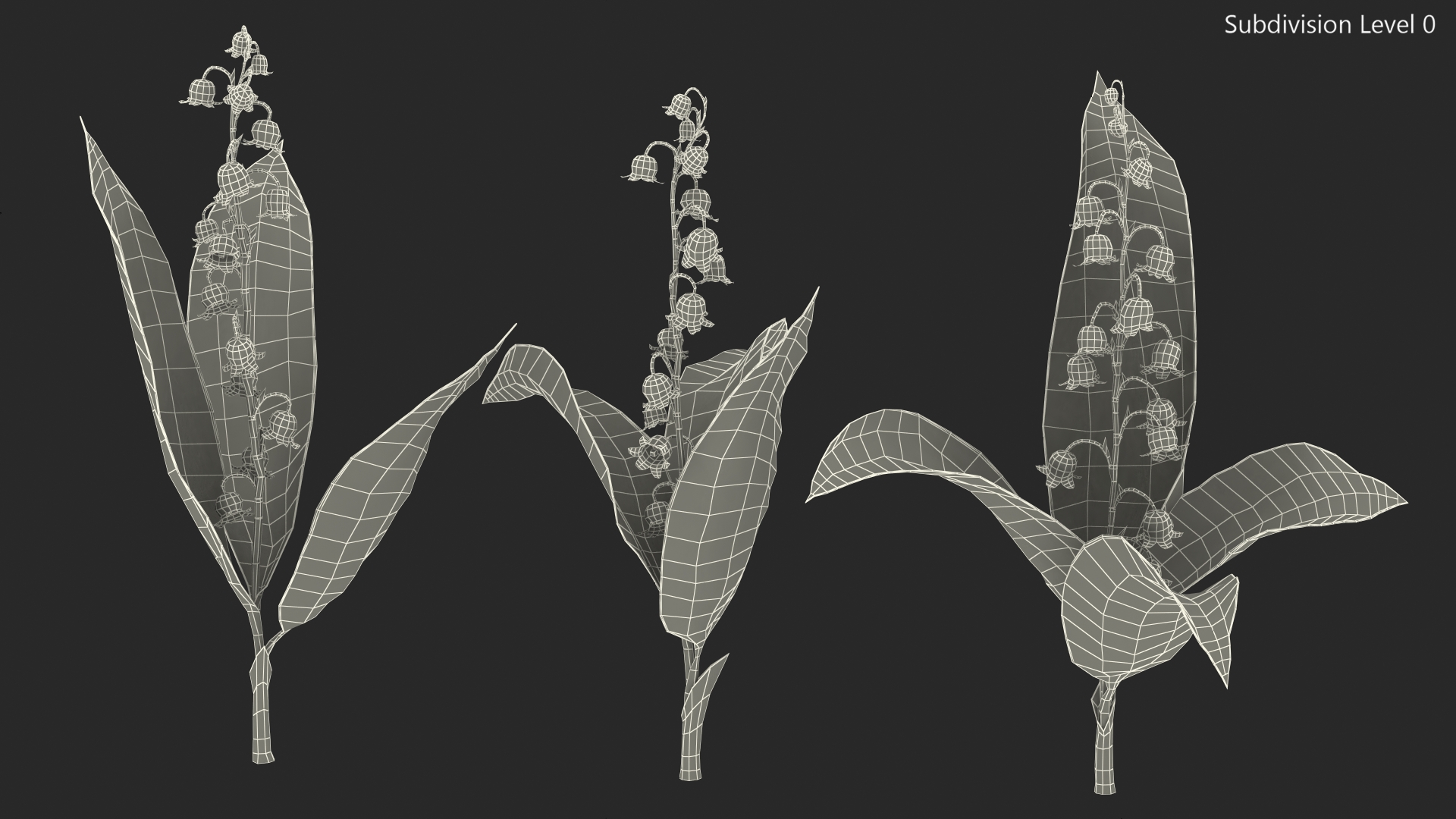 Lily of the Valley 3 Branches 3D model