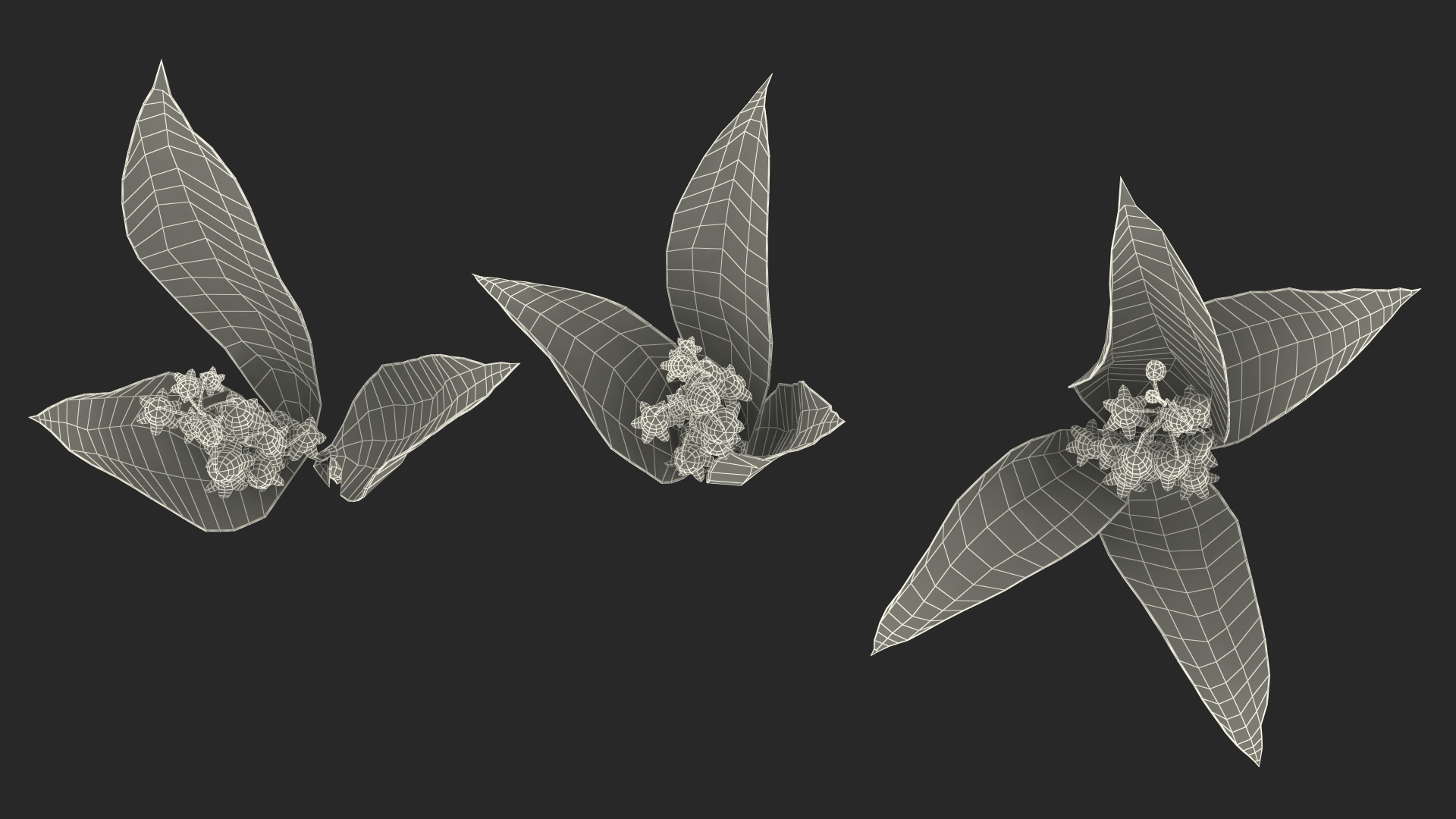 Lily of the Valley 3 Branches 3D model