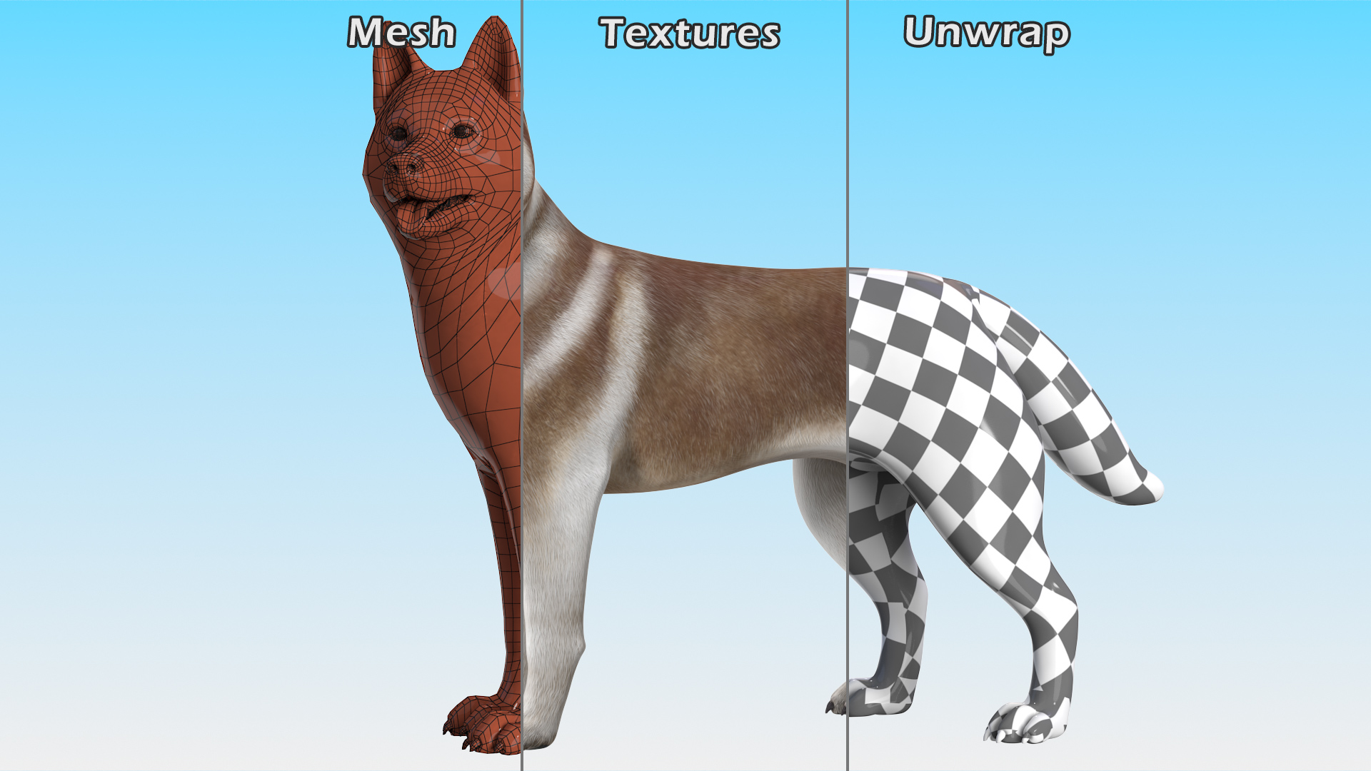 3D model Siberian Husky Copper Standing Pose