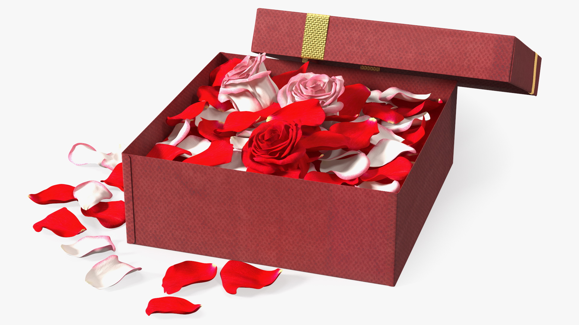 3D model Box With Rose Petals