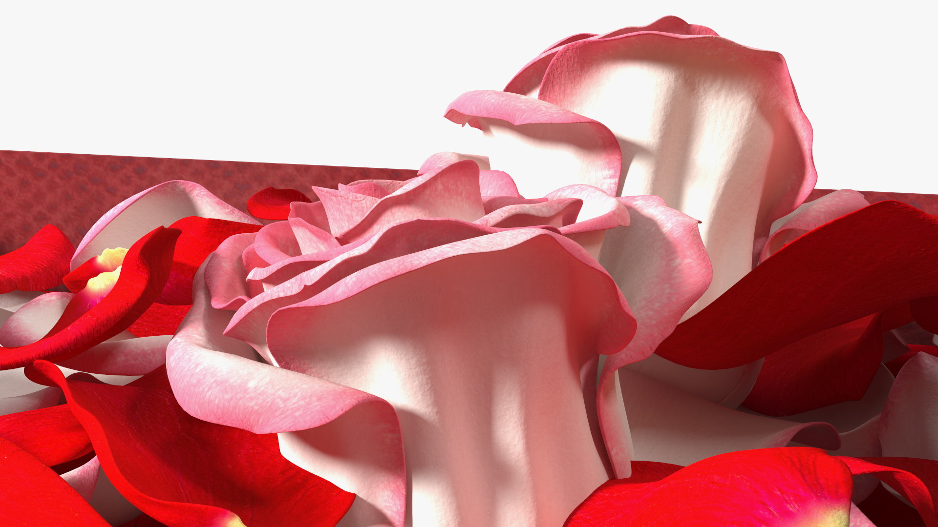 3D model Box With Rose Petals