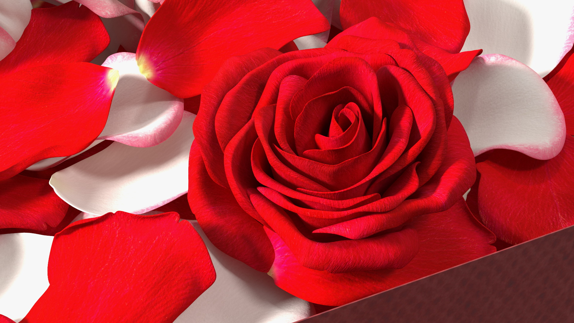 3D model Box With Rose Petals