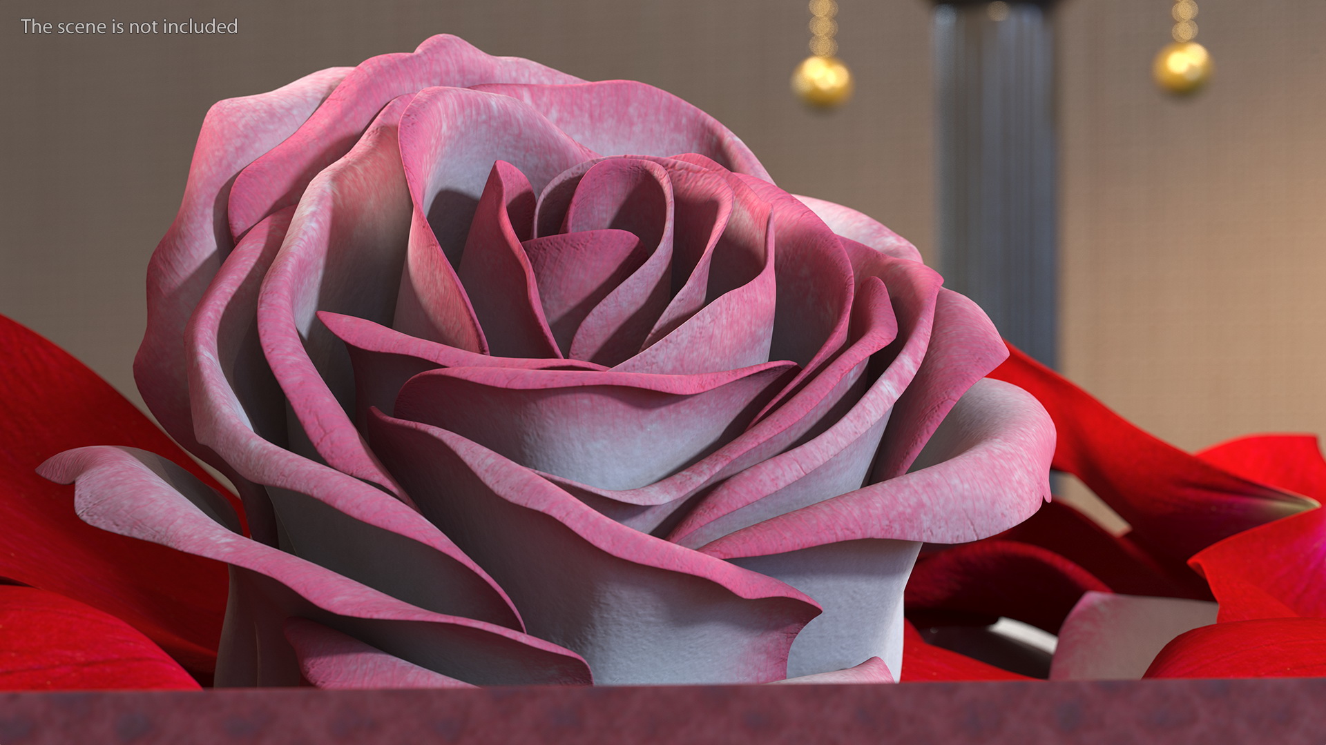 3D model Box With Rose Petals