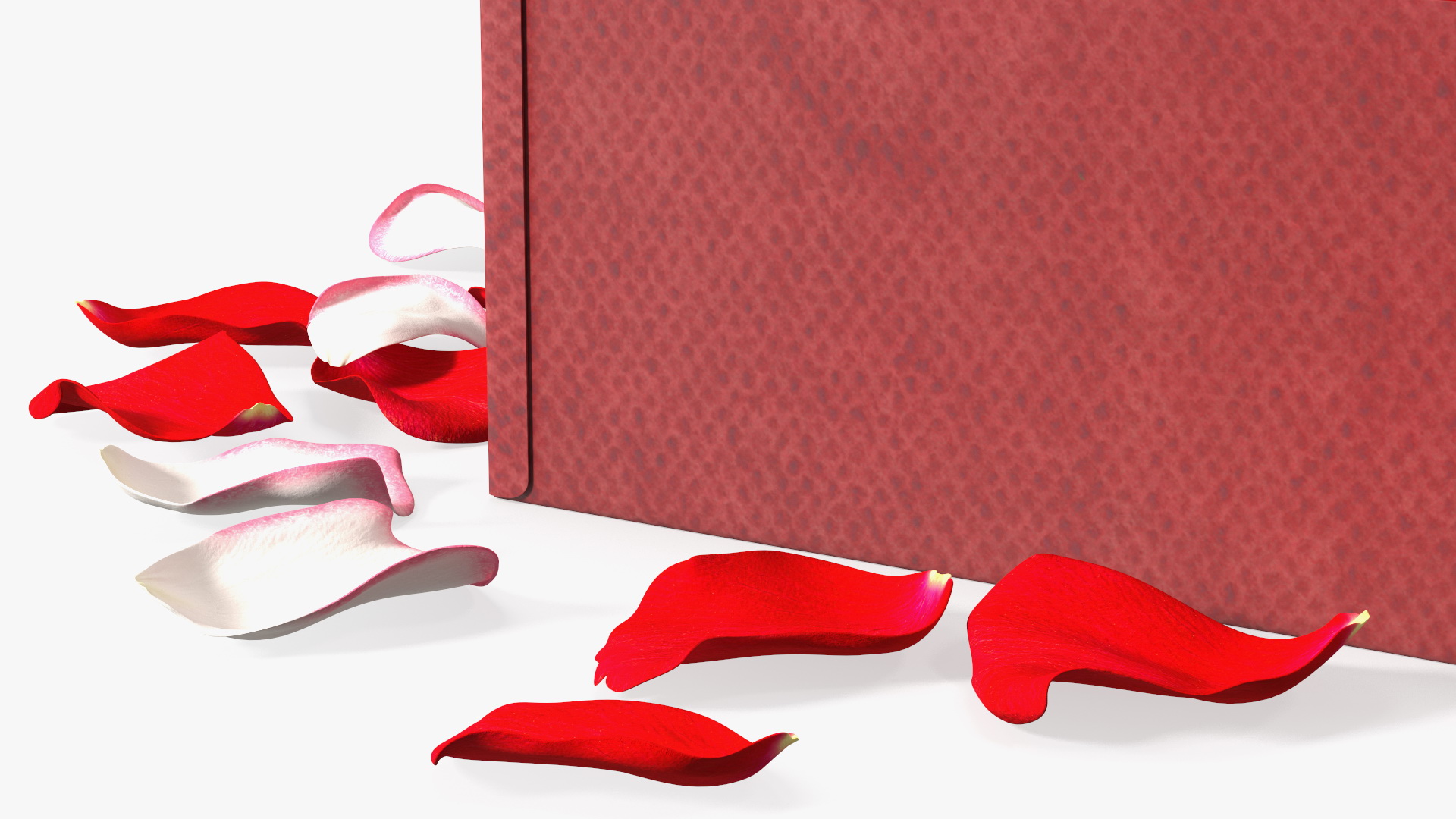 3D model Box With Rose Petals