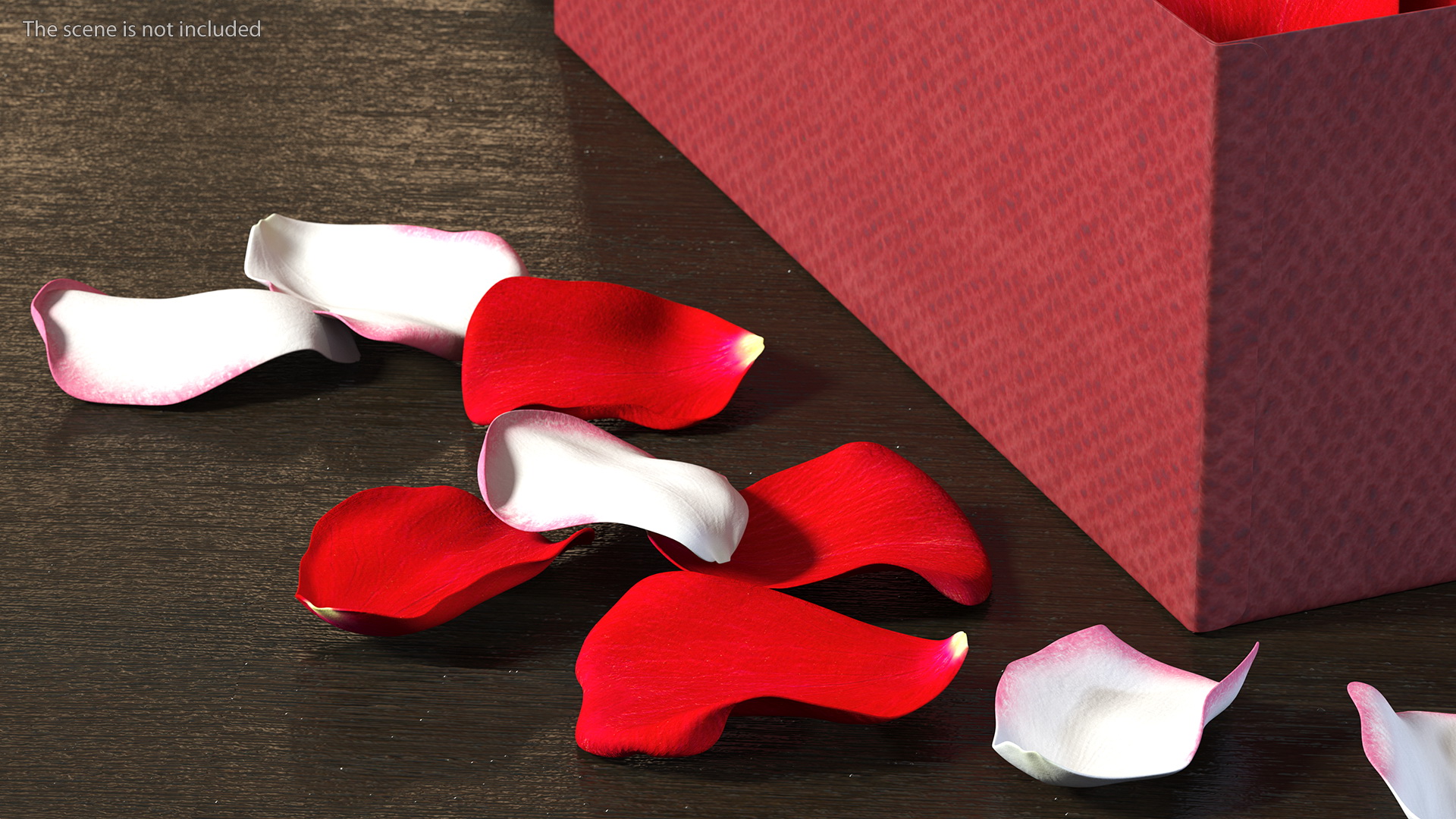 3D model Box With Rose Petals