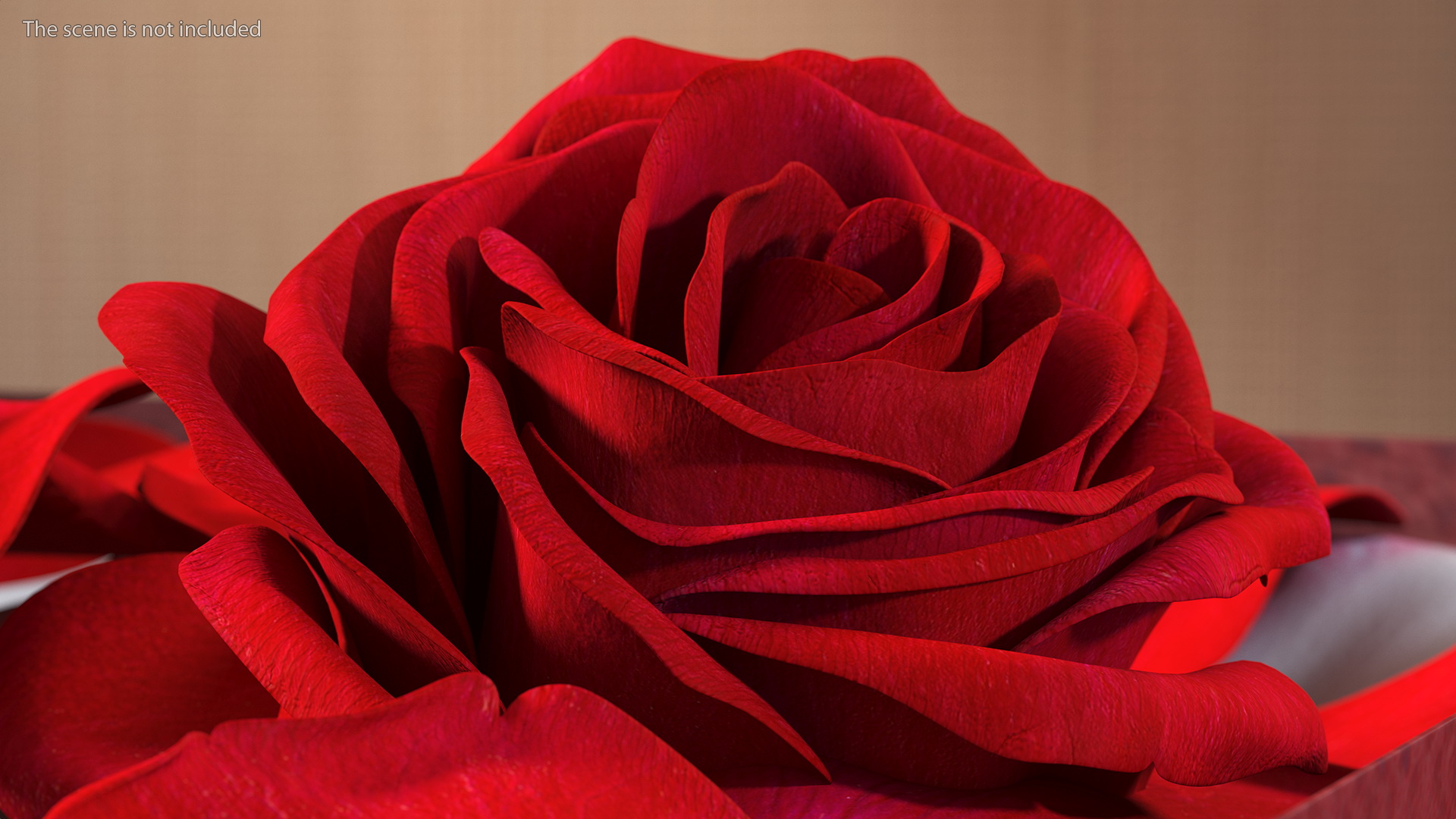 3D model Box With Rose Petals