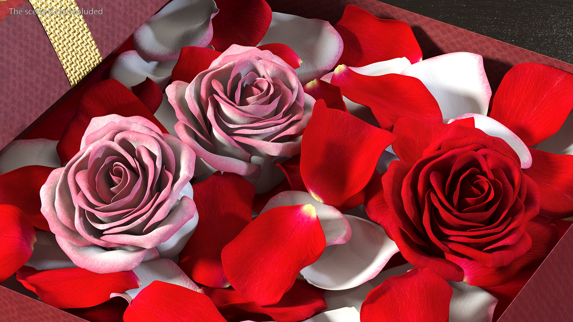 3D model Box With Rose Petals