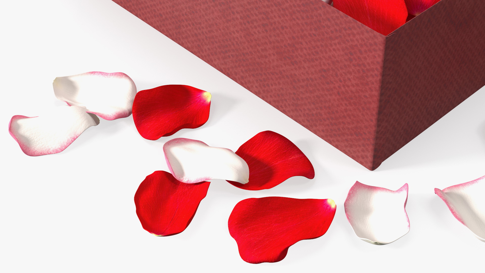 3D model Box With Rose Petals