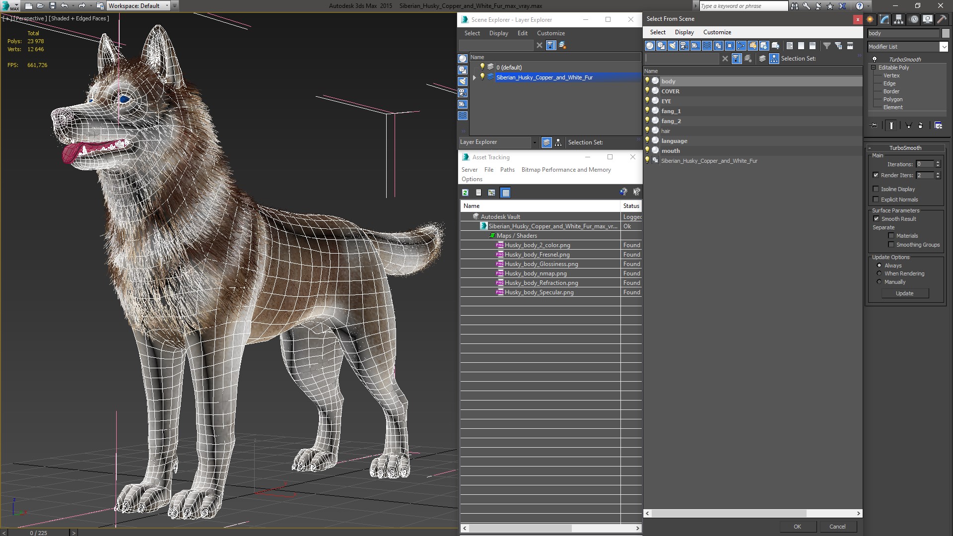 3D model Siberian Husky Copper and White Fur