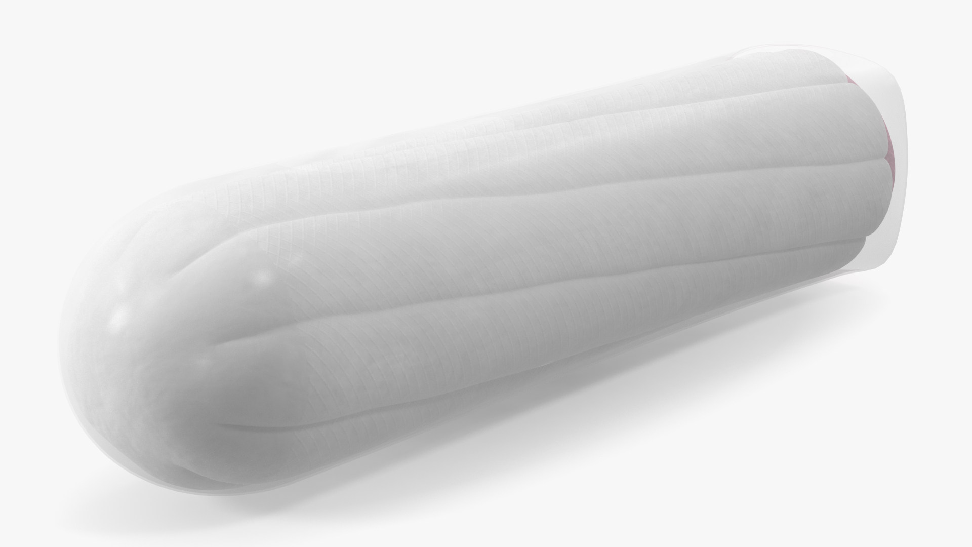3D Packed Menstrual Tampon model