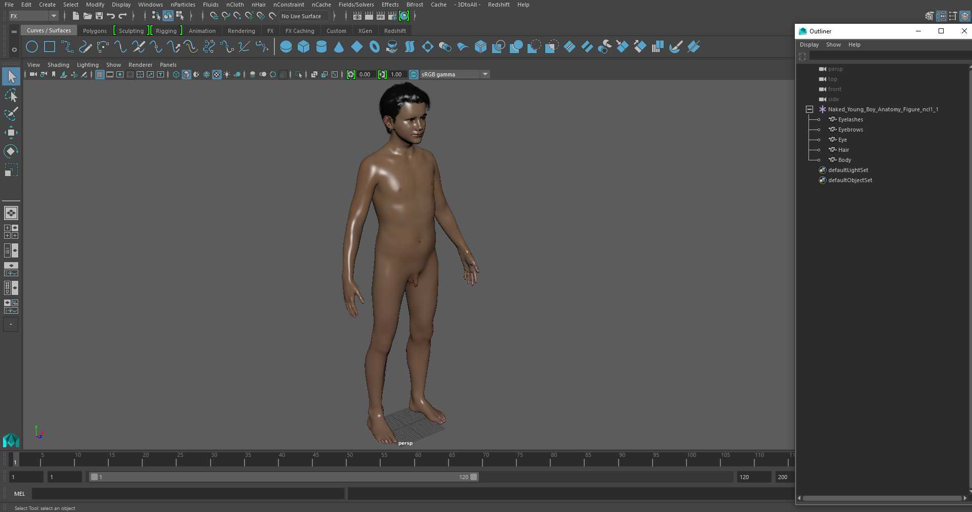 3D model Naked Young Boy Anatomy Figure