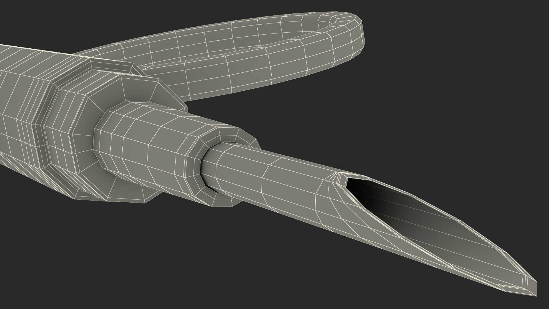 Pet ID Microchip Syringe 3D model