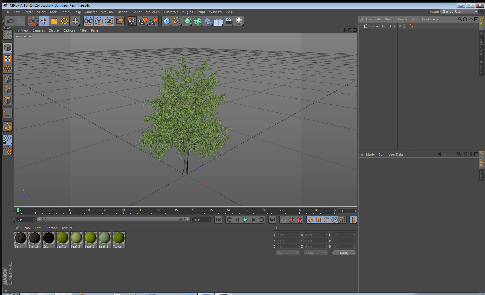 3D Summer Pear Tree