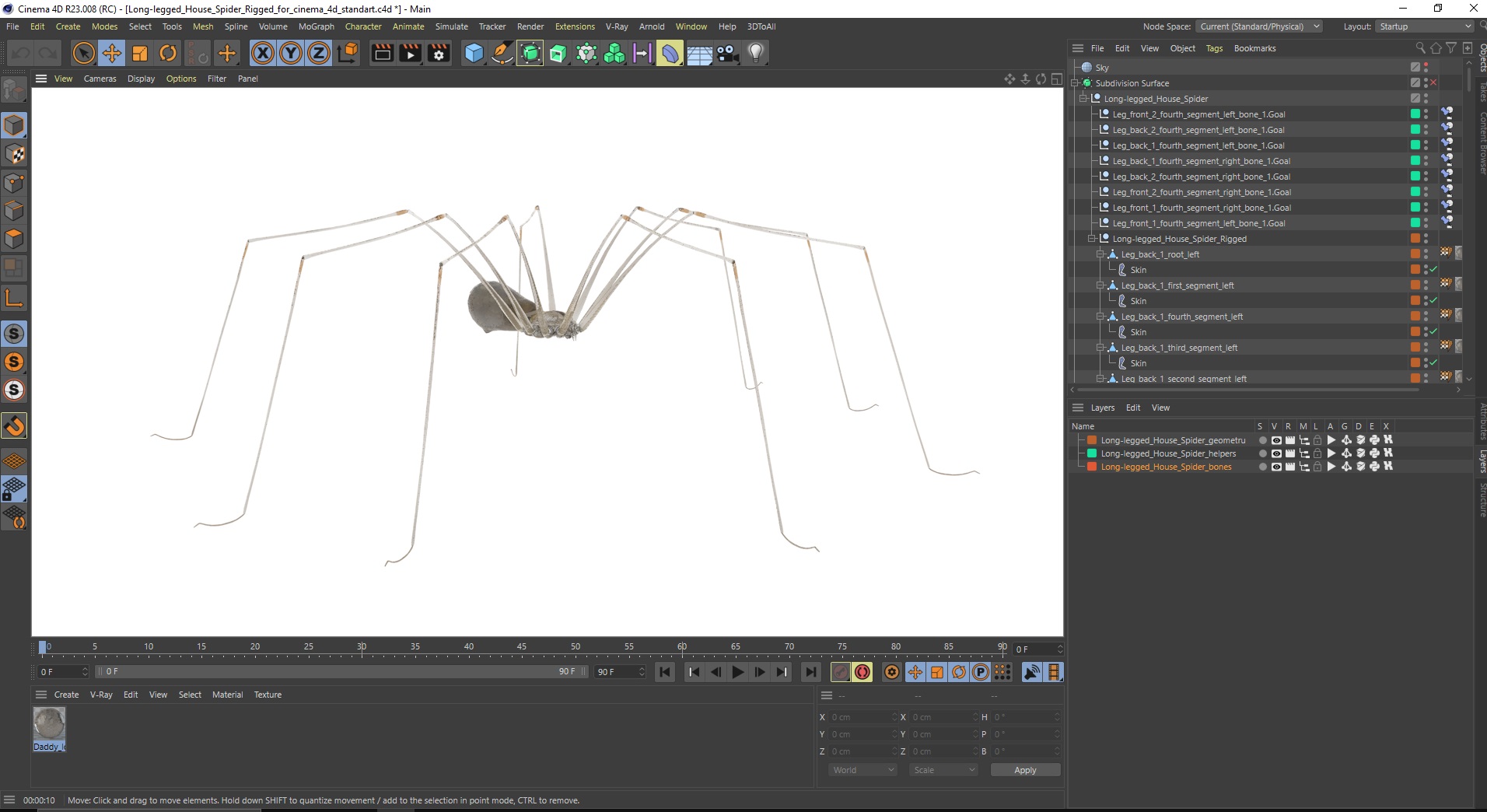 3D model Long-legged House Spider Rigged for Cinema 4D