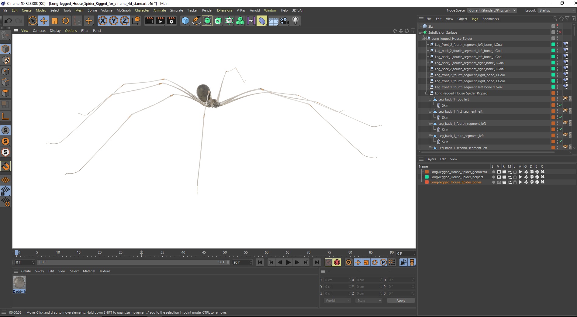3D model Long-legged House Spider Rigged for Cinema 4D
