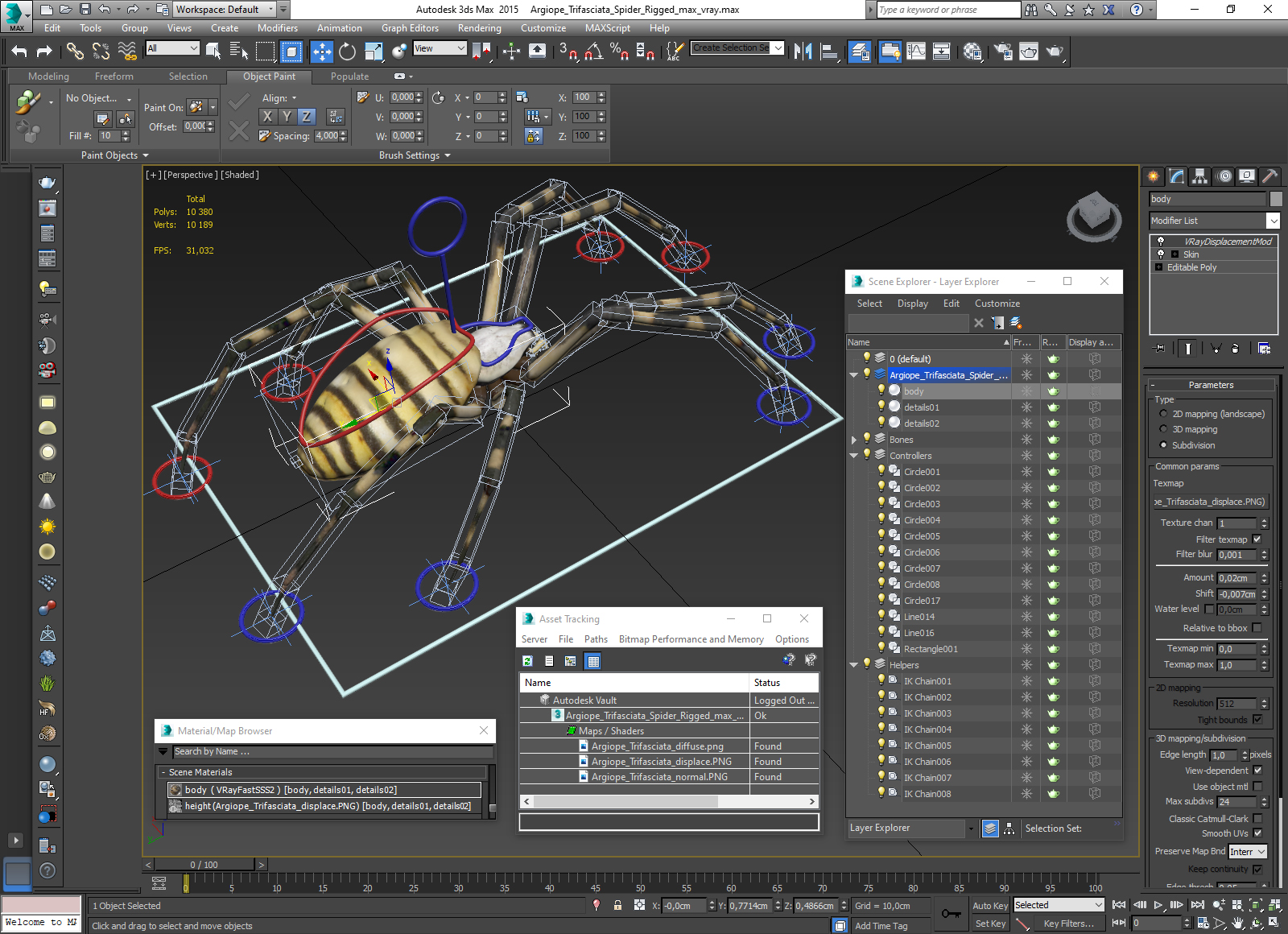 Argiope Trifasciata Spider Rigged for Modo 3D