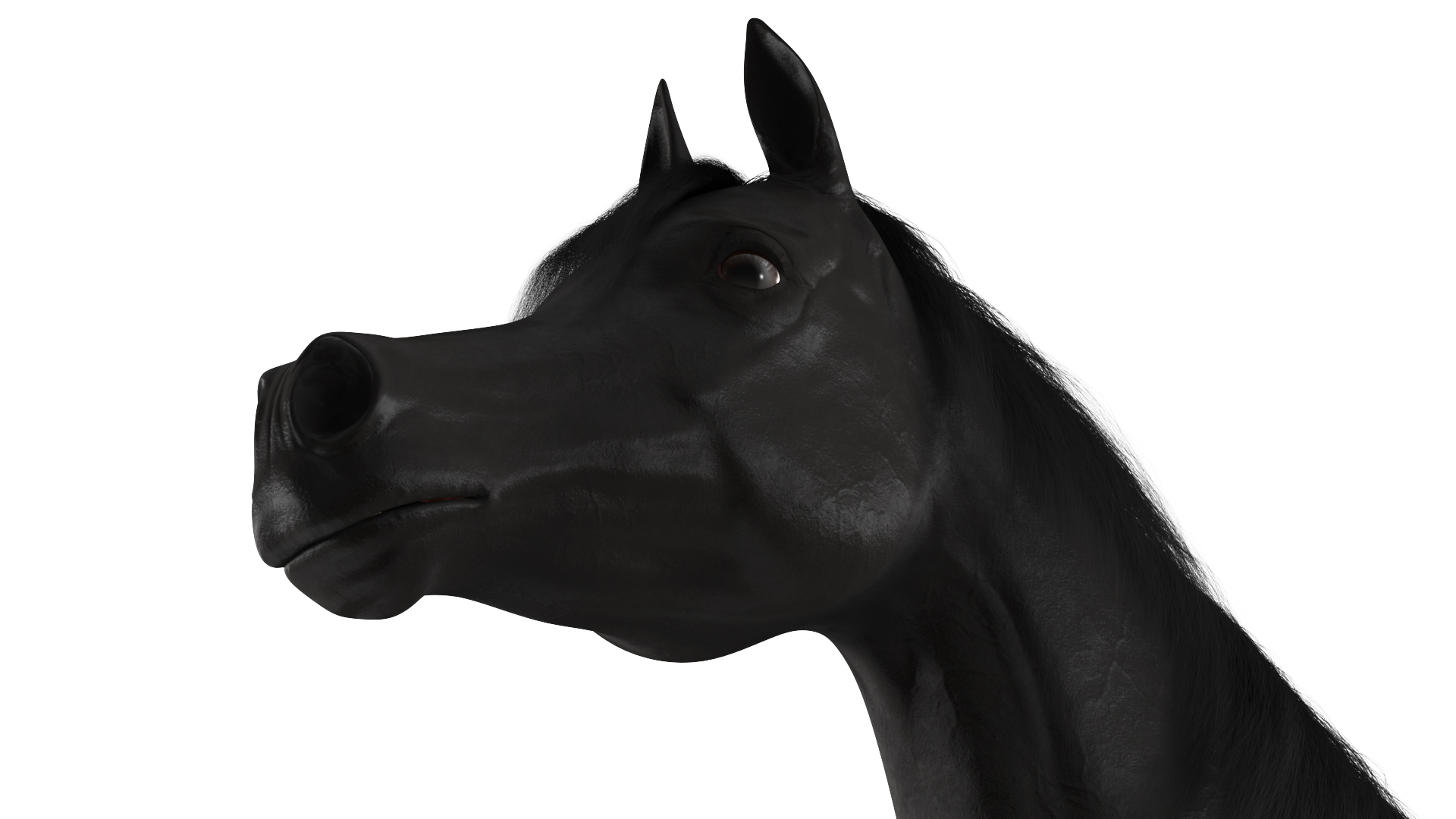 3D model Arabian Horse Black Fur Rigged