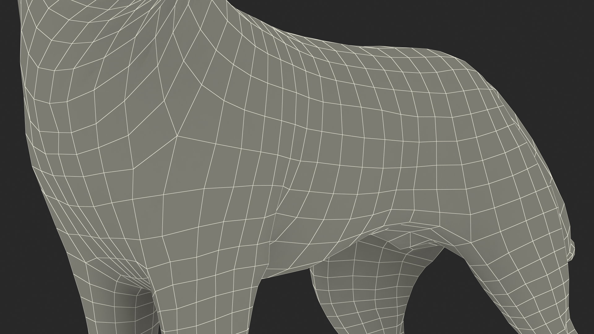 Siberian Husky Black Standing Pose 3D model