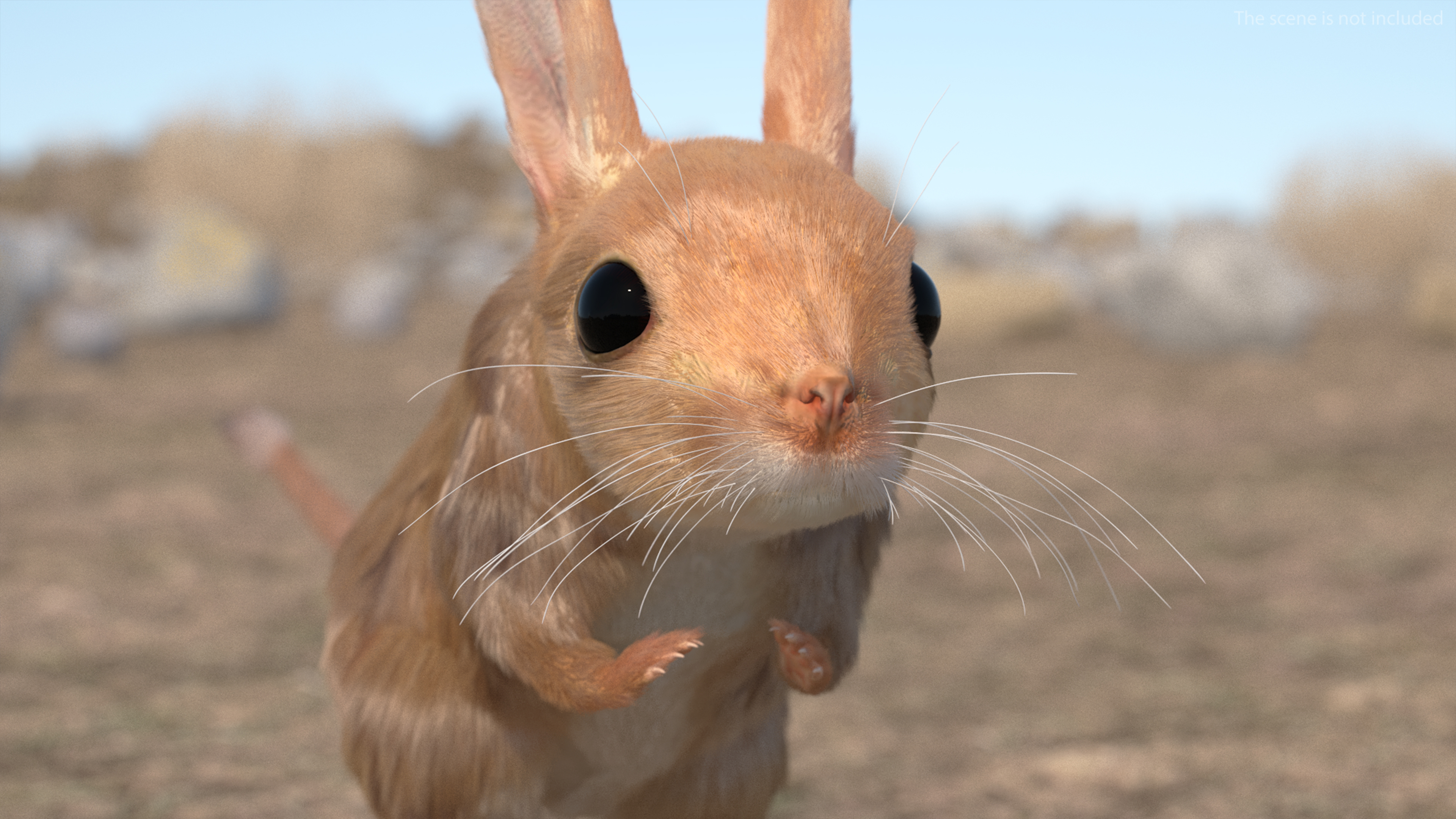 Desert Jerboa Fur 3D