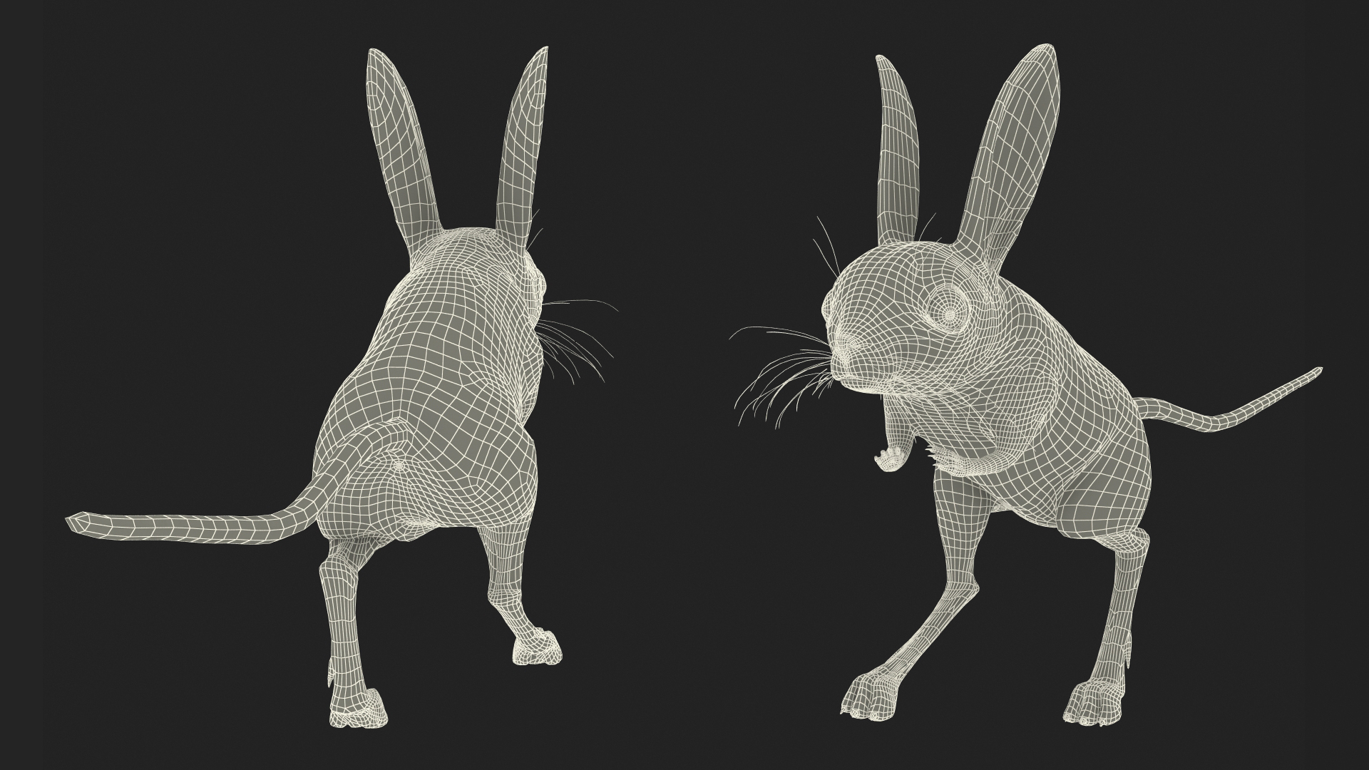 Desert Jerboa Fur 3D